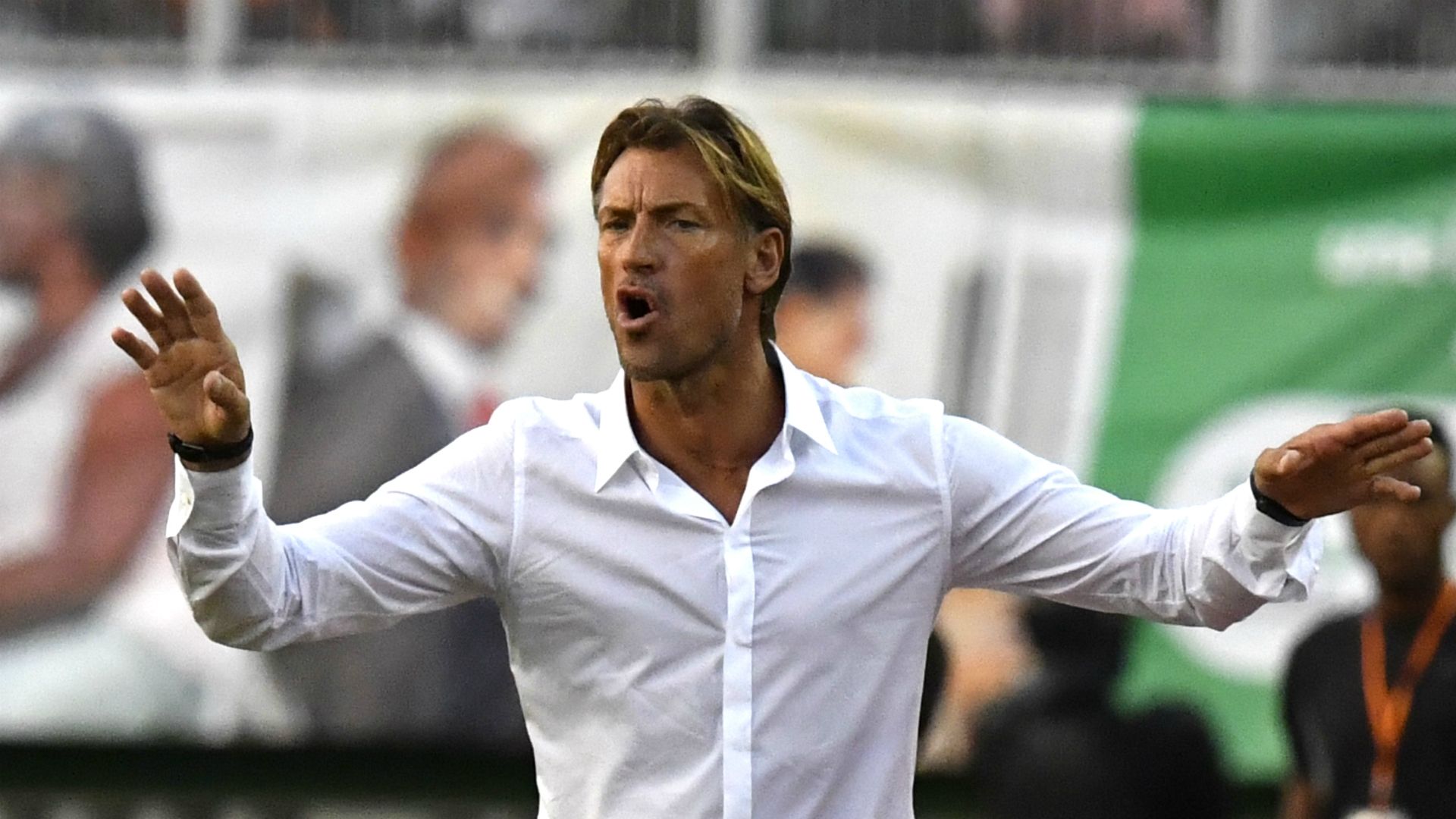 Herve Renard Morocco