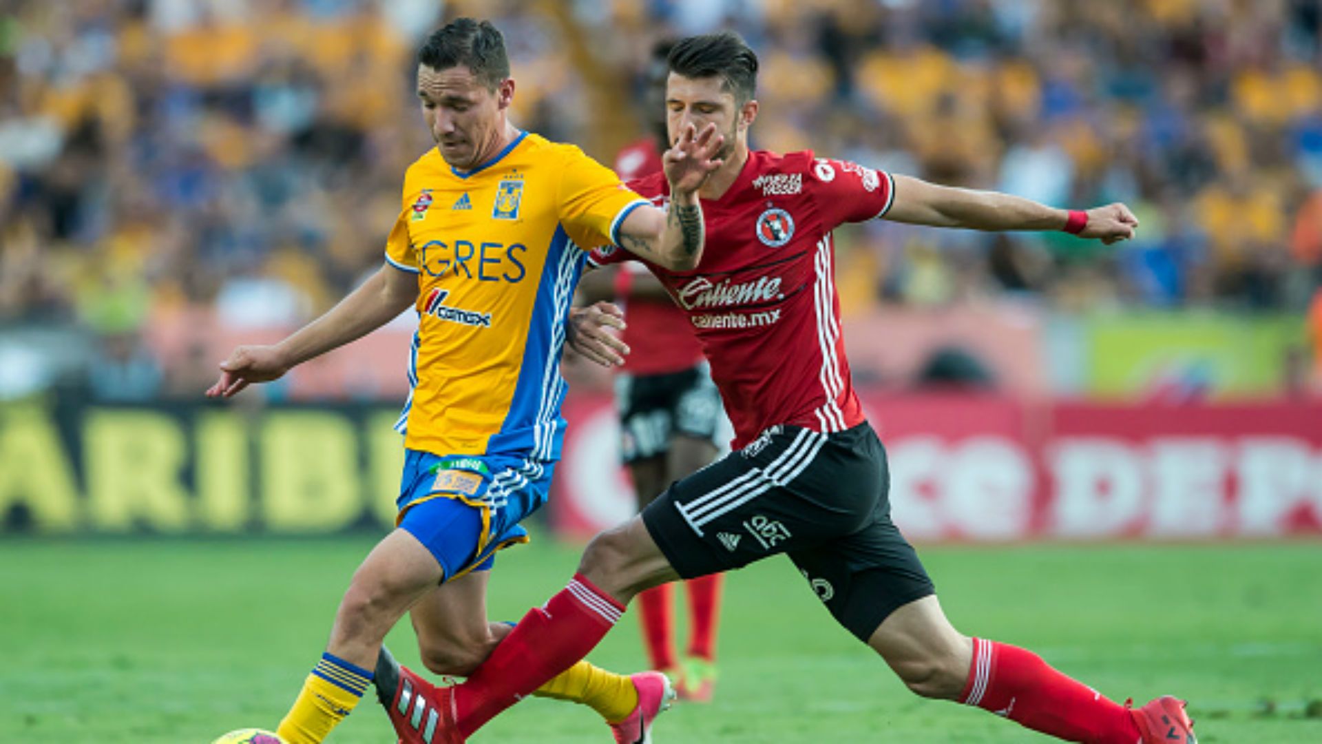 Liga MX Mexico Clausura Jesus Dueñas Tigres UANL