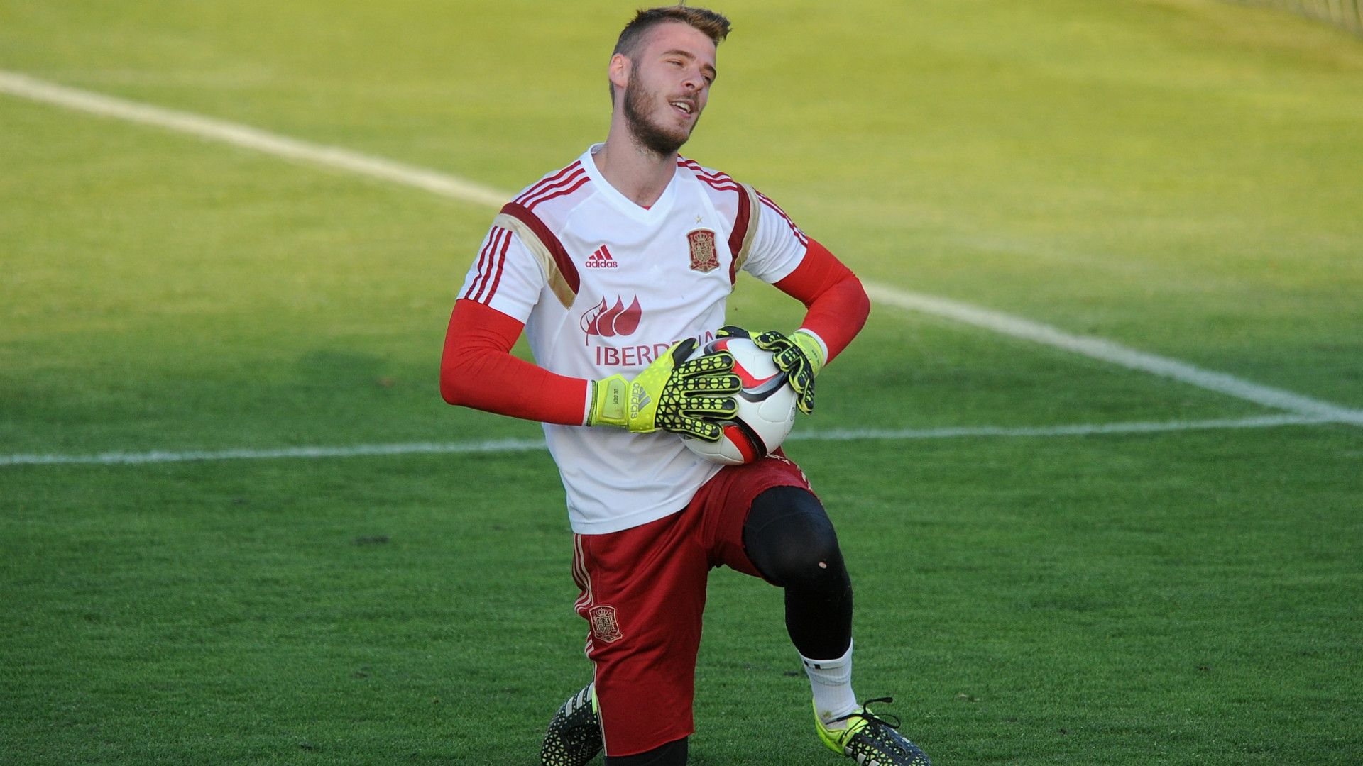 David De Gea Spain
