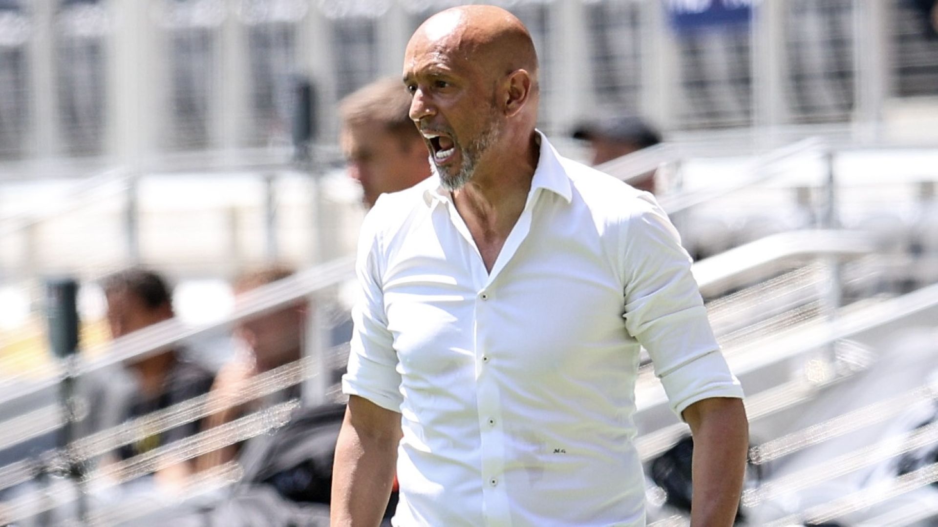 Miguel Cardoso, Mamelodi Sundowns