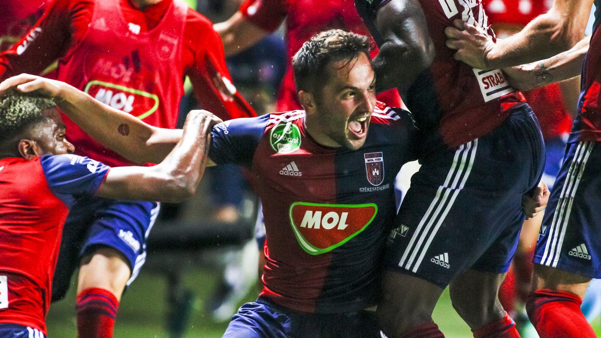 Anel Hadzic Videoton