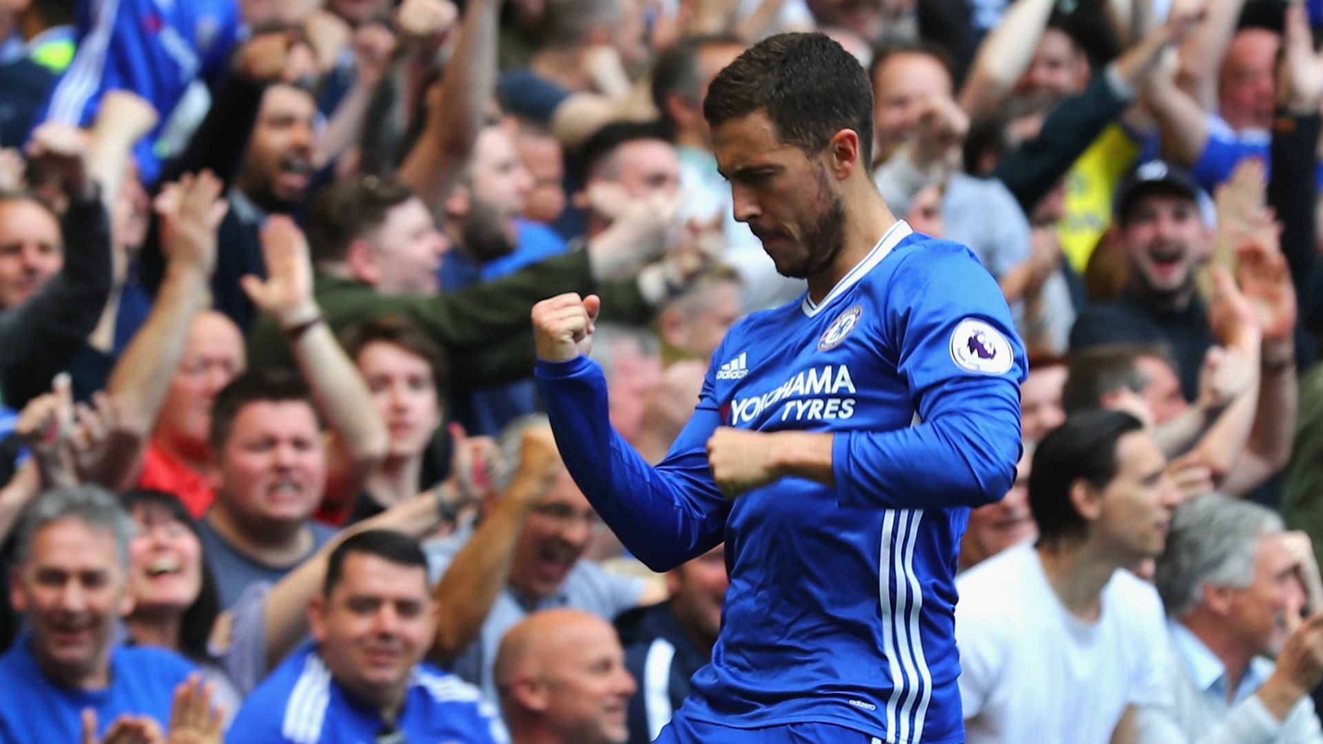 Hazard - Cropped
