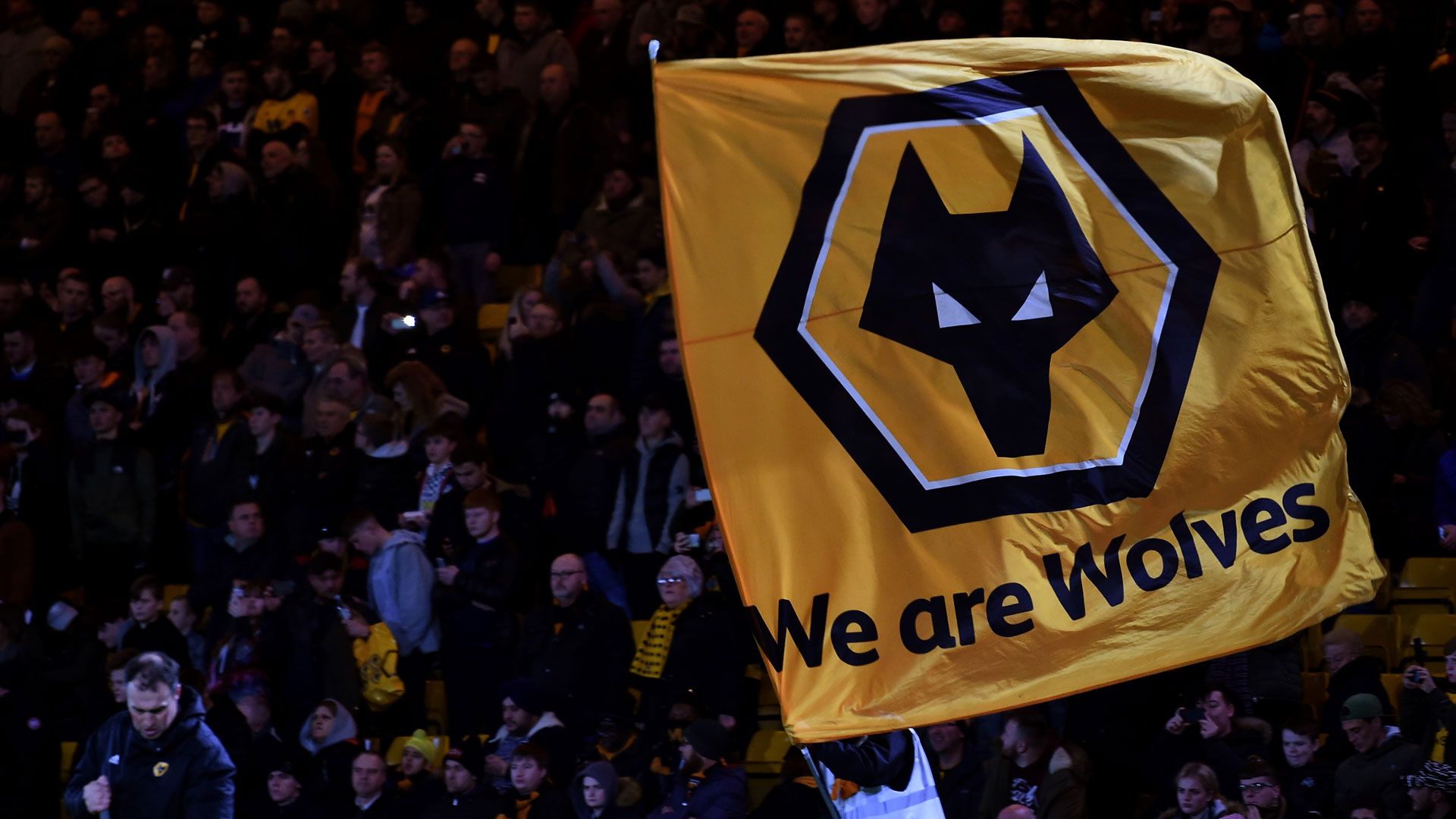 Wolverhampton Fans