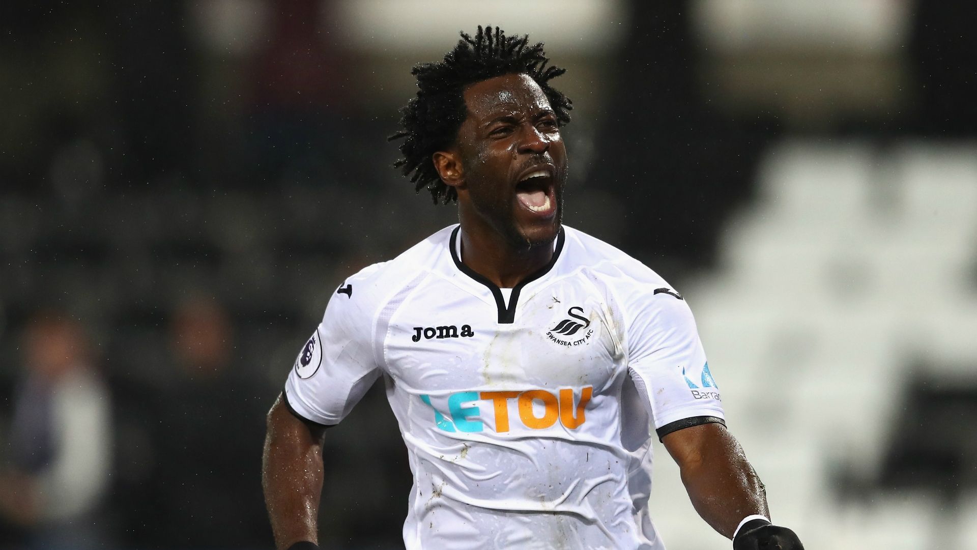 Wilfried Bony Swansea City Wolves