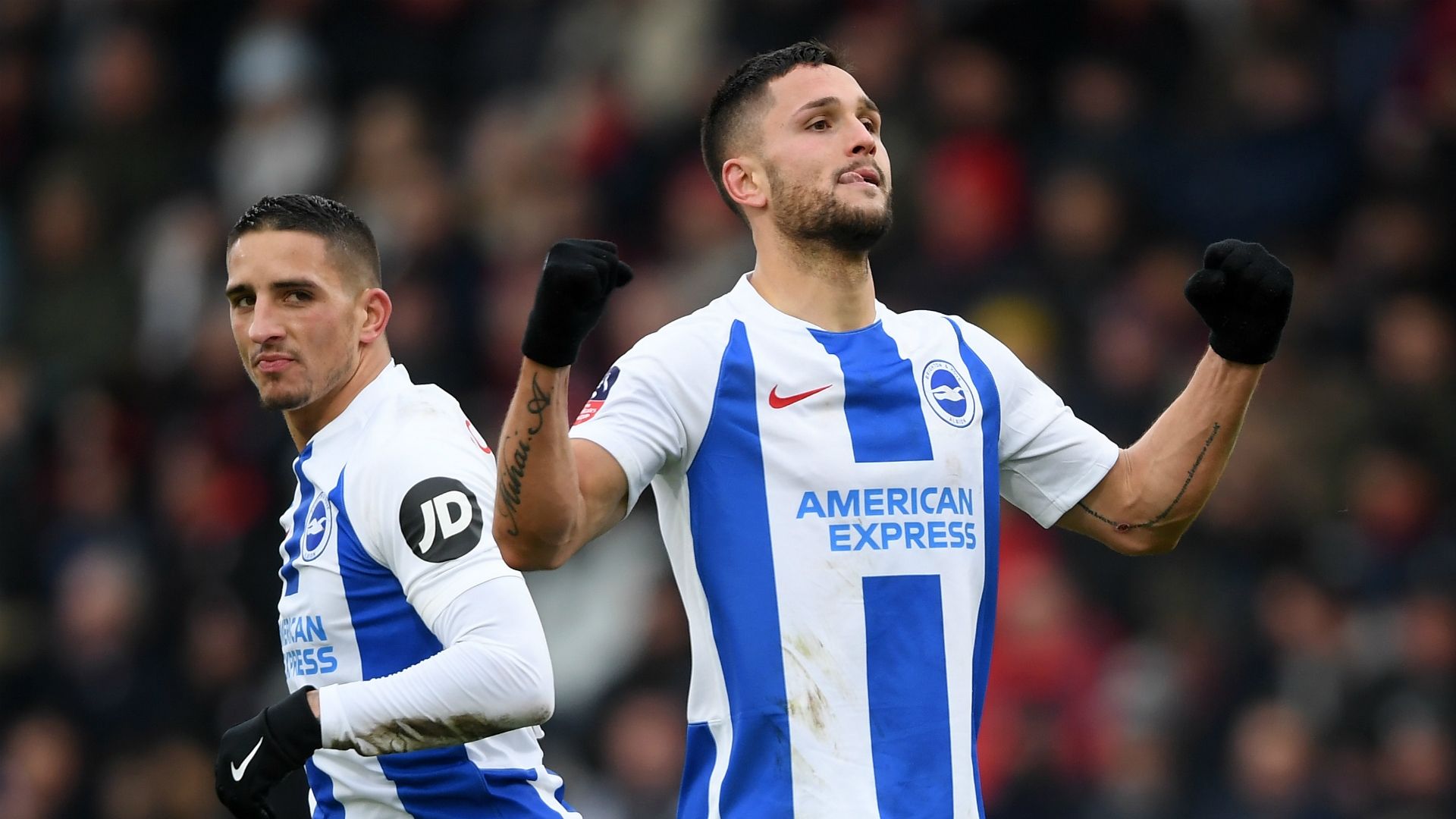 Florin Andone Brighton
