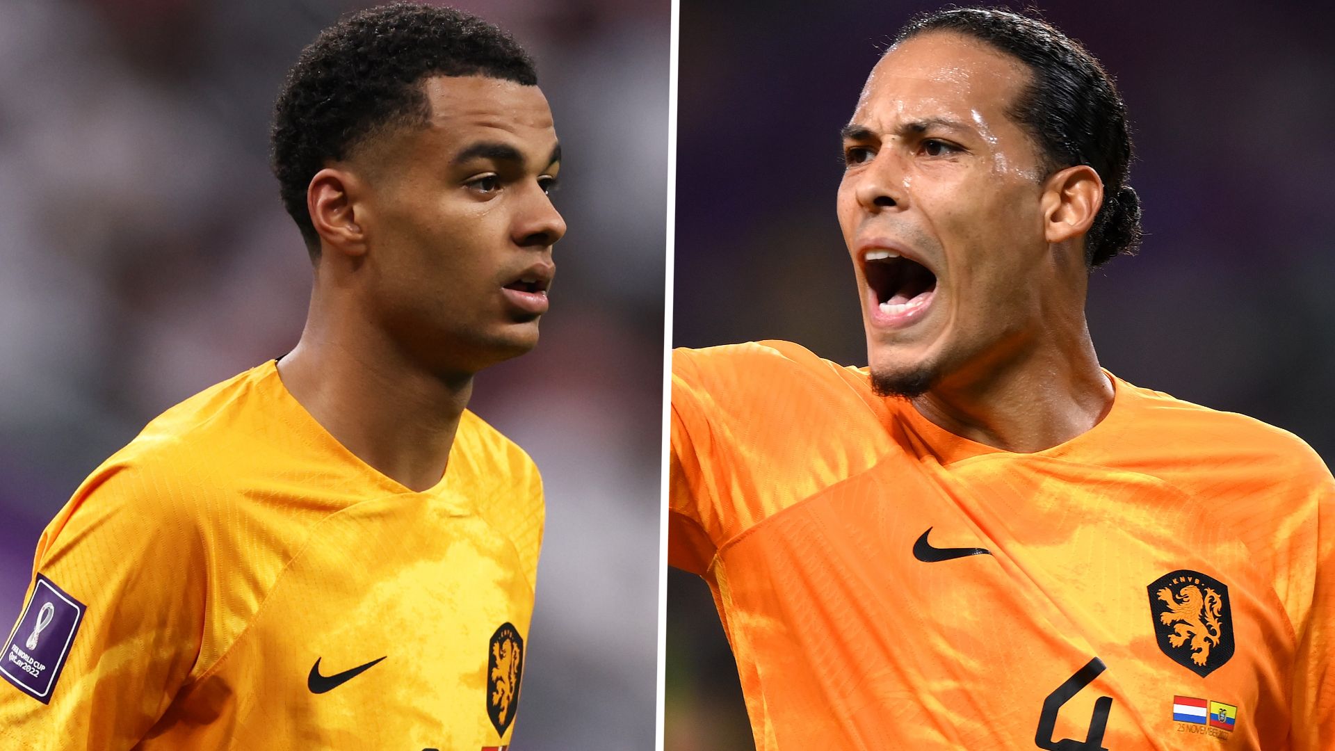Cody Gakpo Virgil van Dijk Netherlands 2022