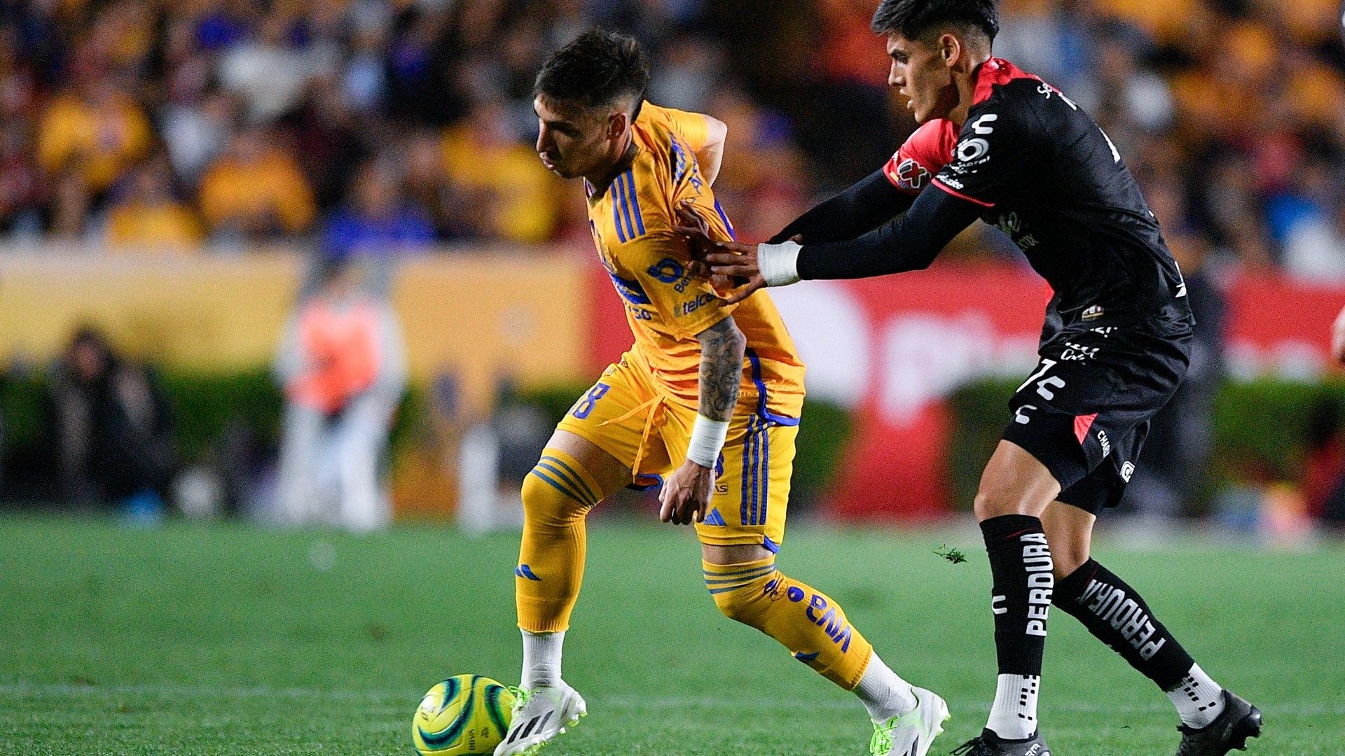 Tigres Atlas Clausura 2024