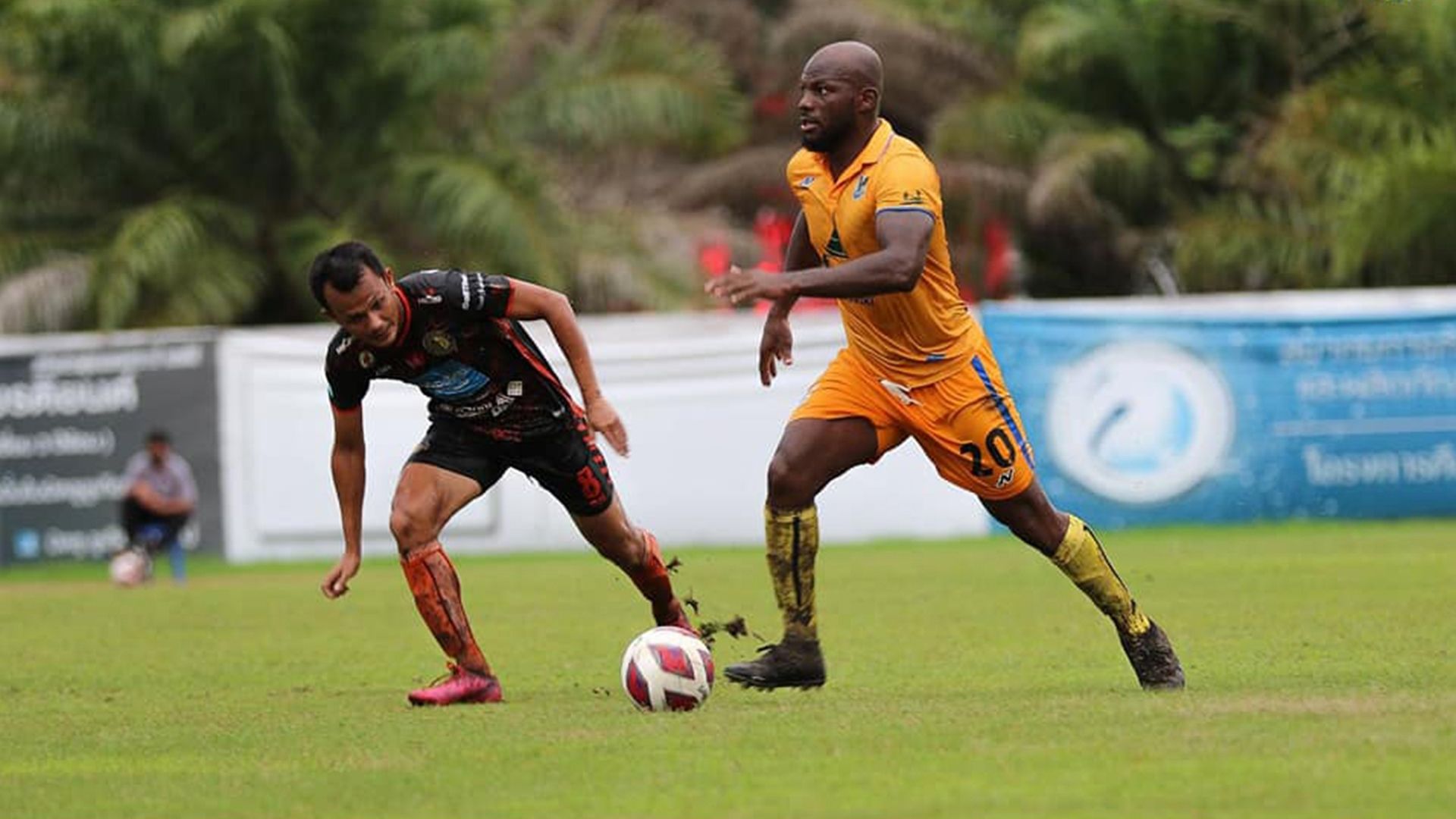 โคเน่ เซย์ดู