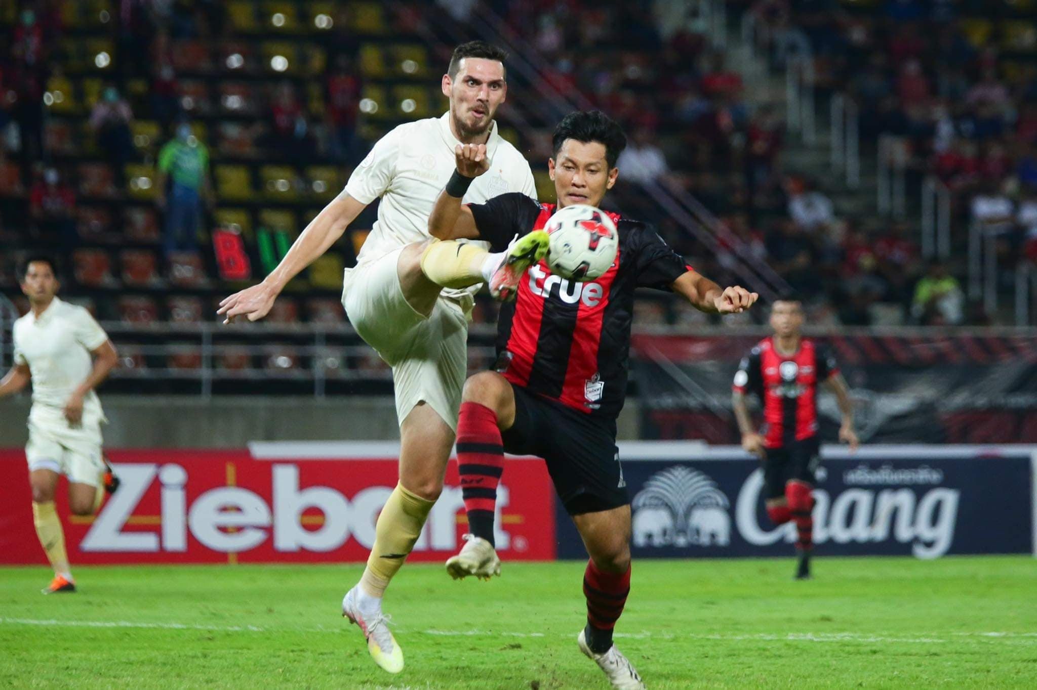 เรนาโต เคลิช