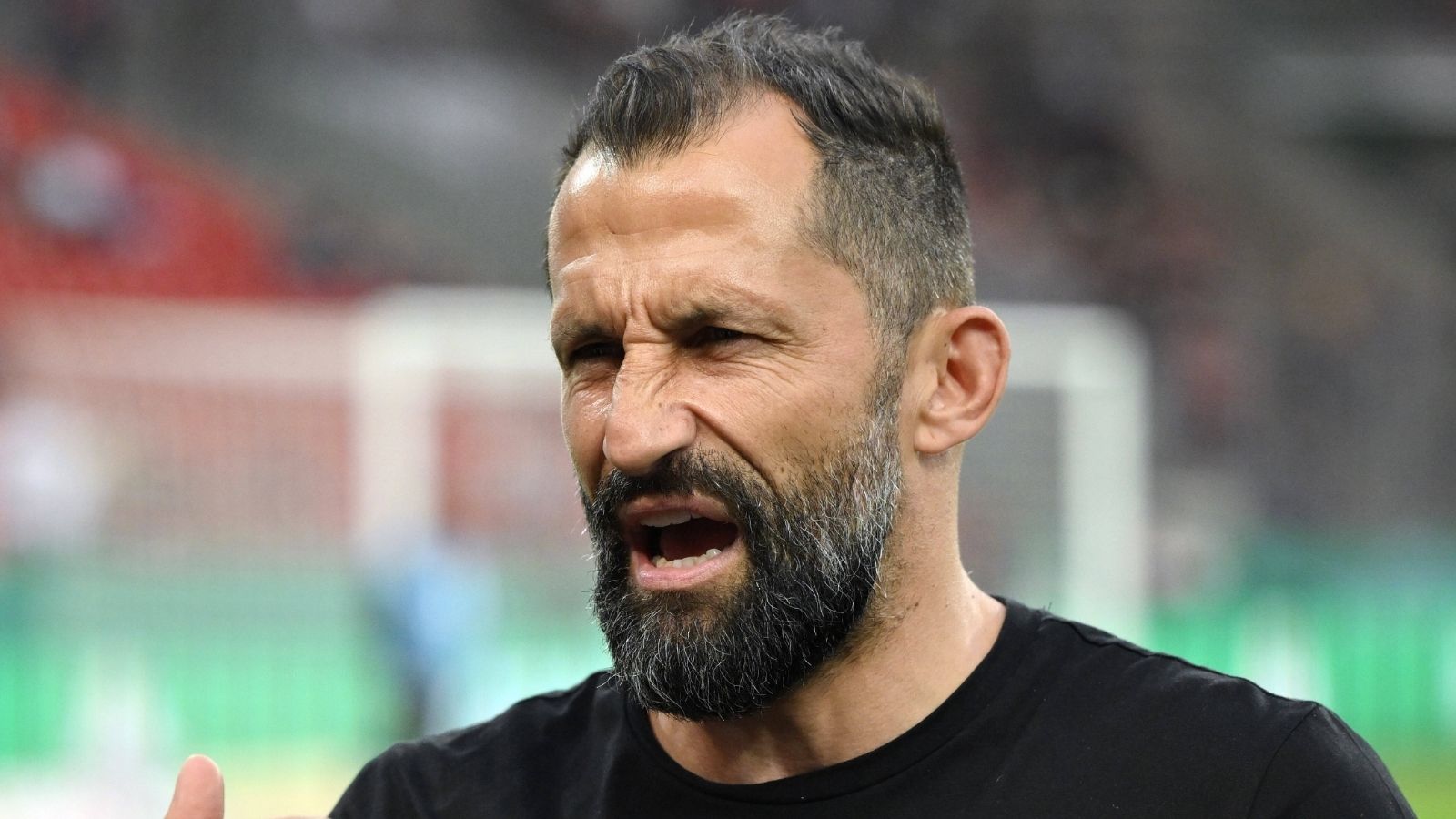 ONLY GERMANY Hasan Salihamidzic Bayern