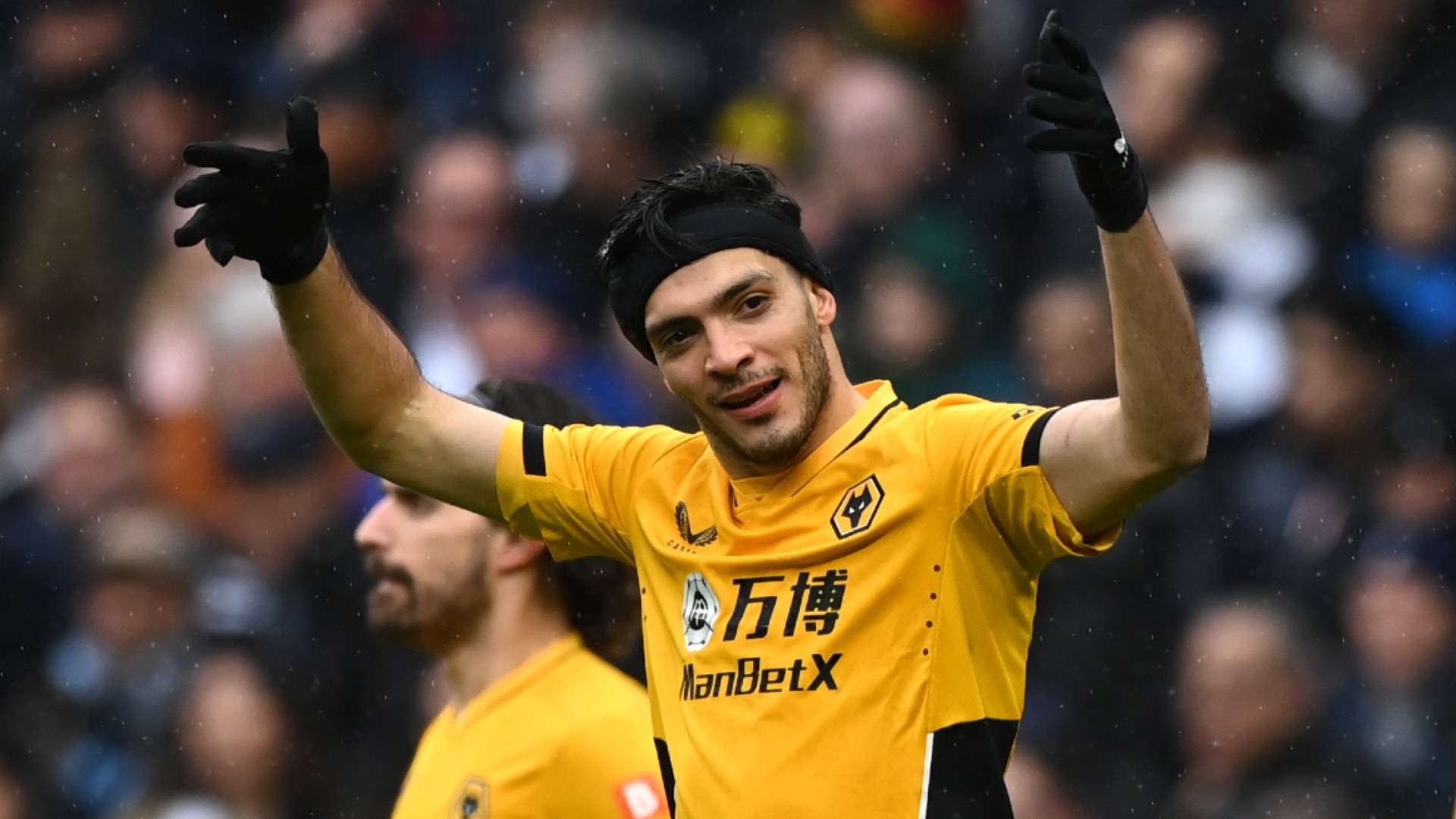 Raul Jimenez Wolves 2021-22