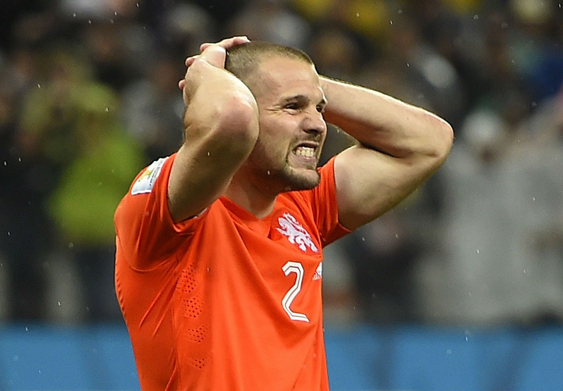 ron vlaar netherlands nizozemska