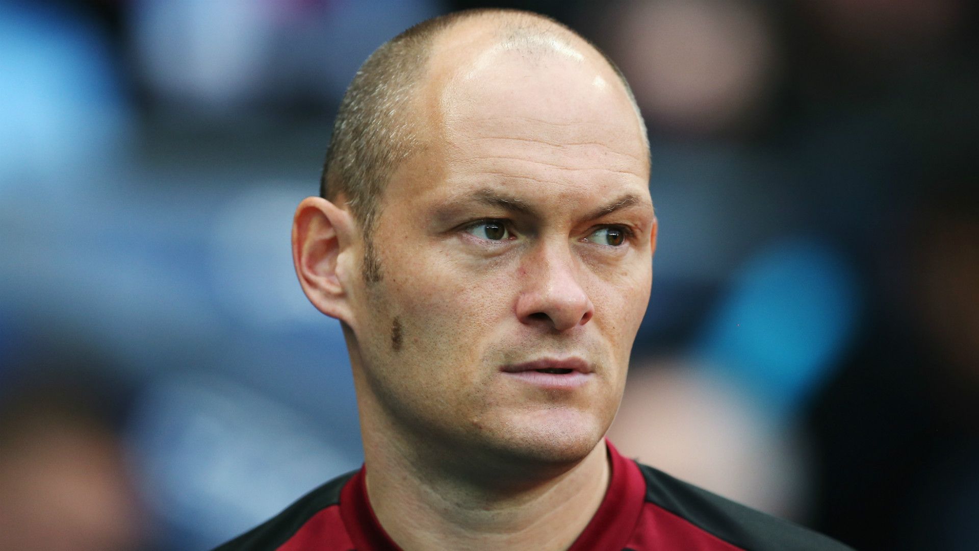 Alex Neil Manchester City Norwich City Premier League 31102015