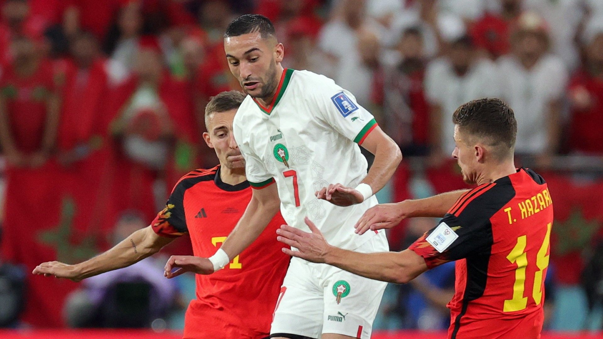 Belgium Morocco World Cup