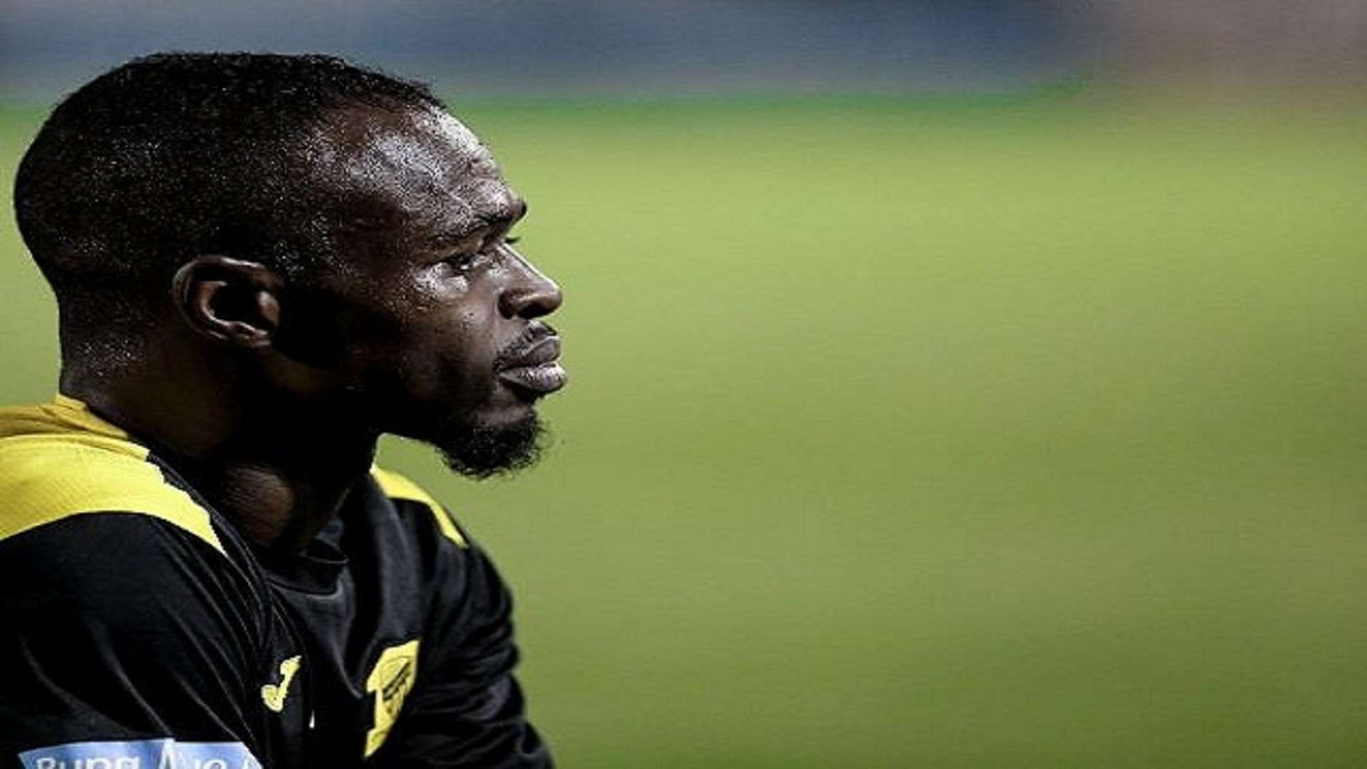 عدنان فلاتة