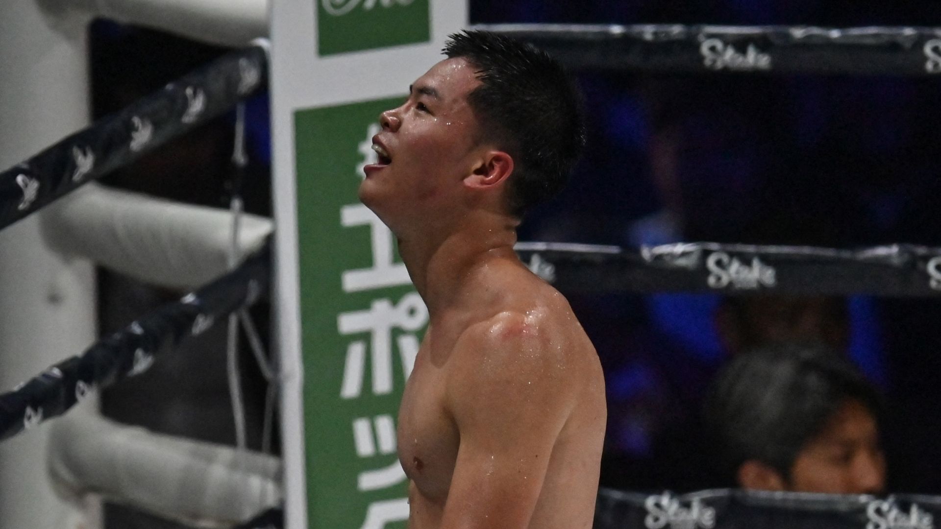 tenshin-nasukawa