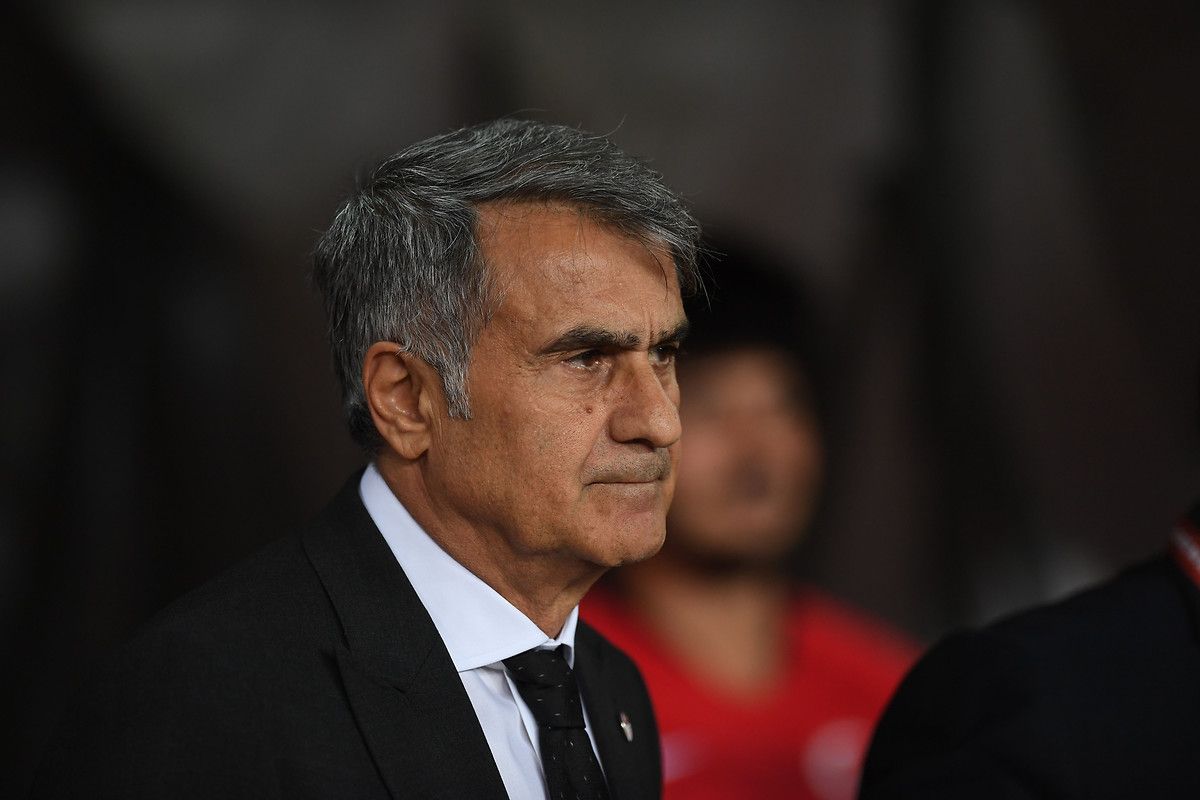 Senol Gunes Turkey Coach