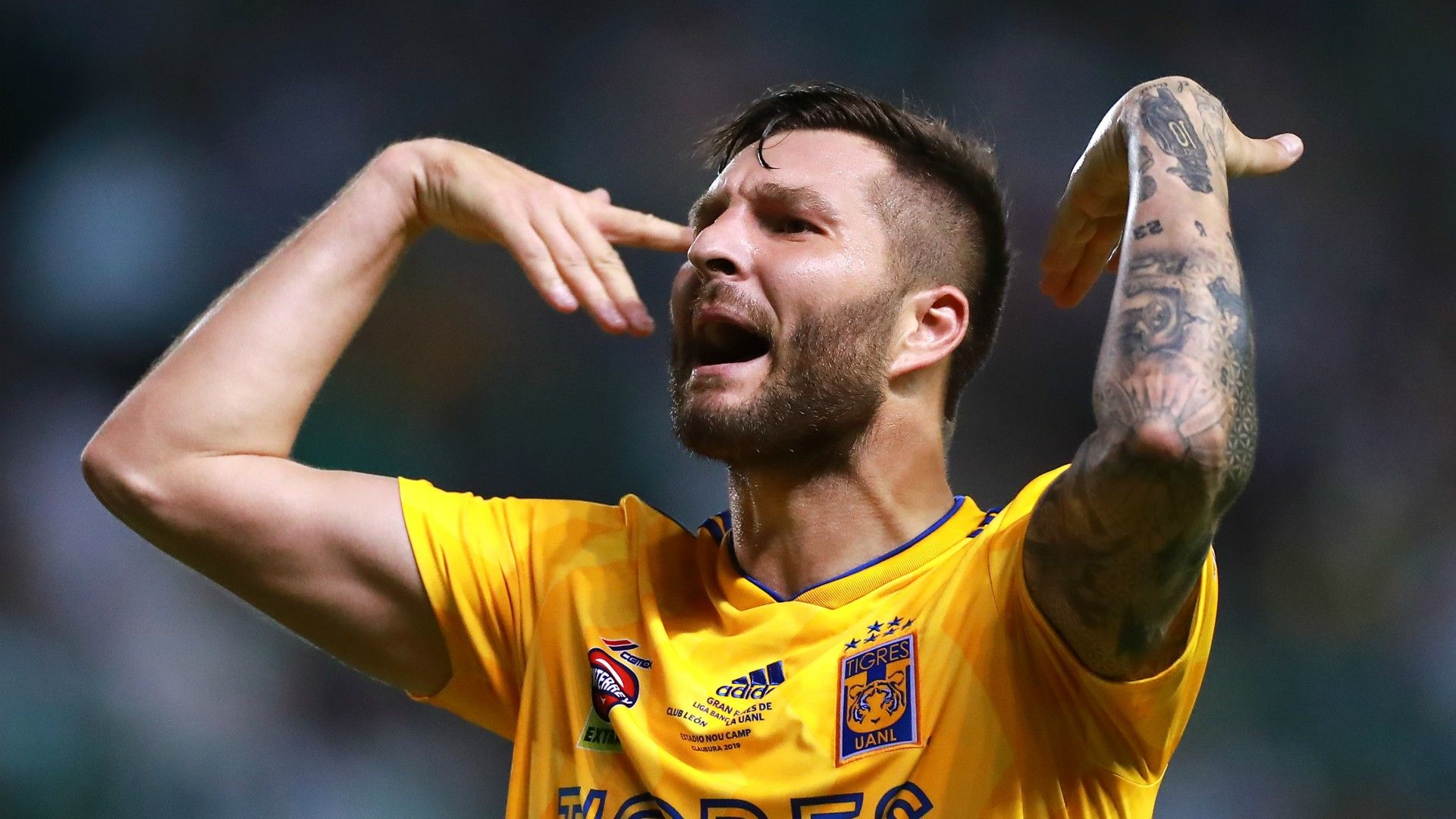 André-Pierre Gignac Tigres Clausura 2019