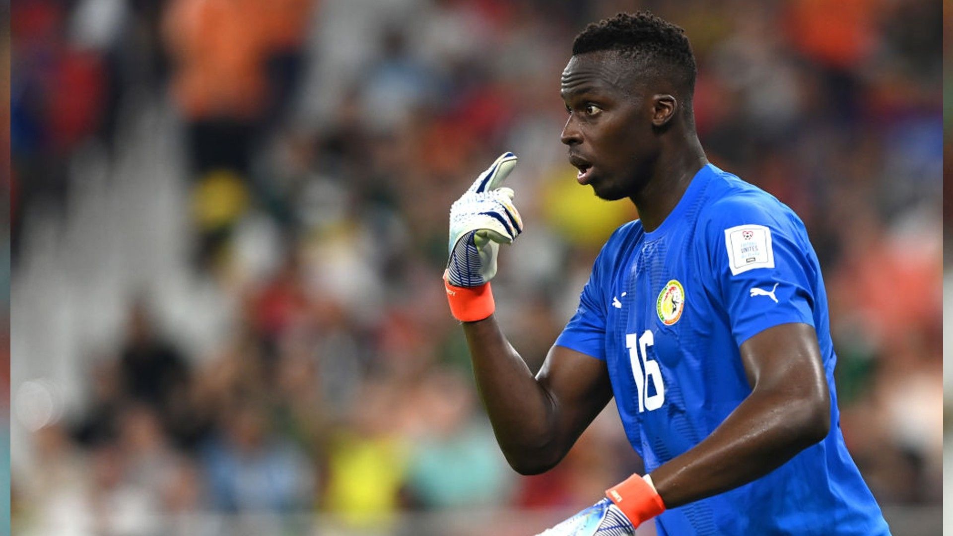 Edouard Mendy Senegal.