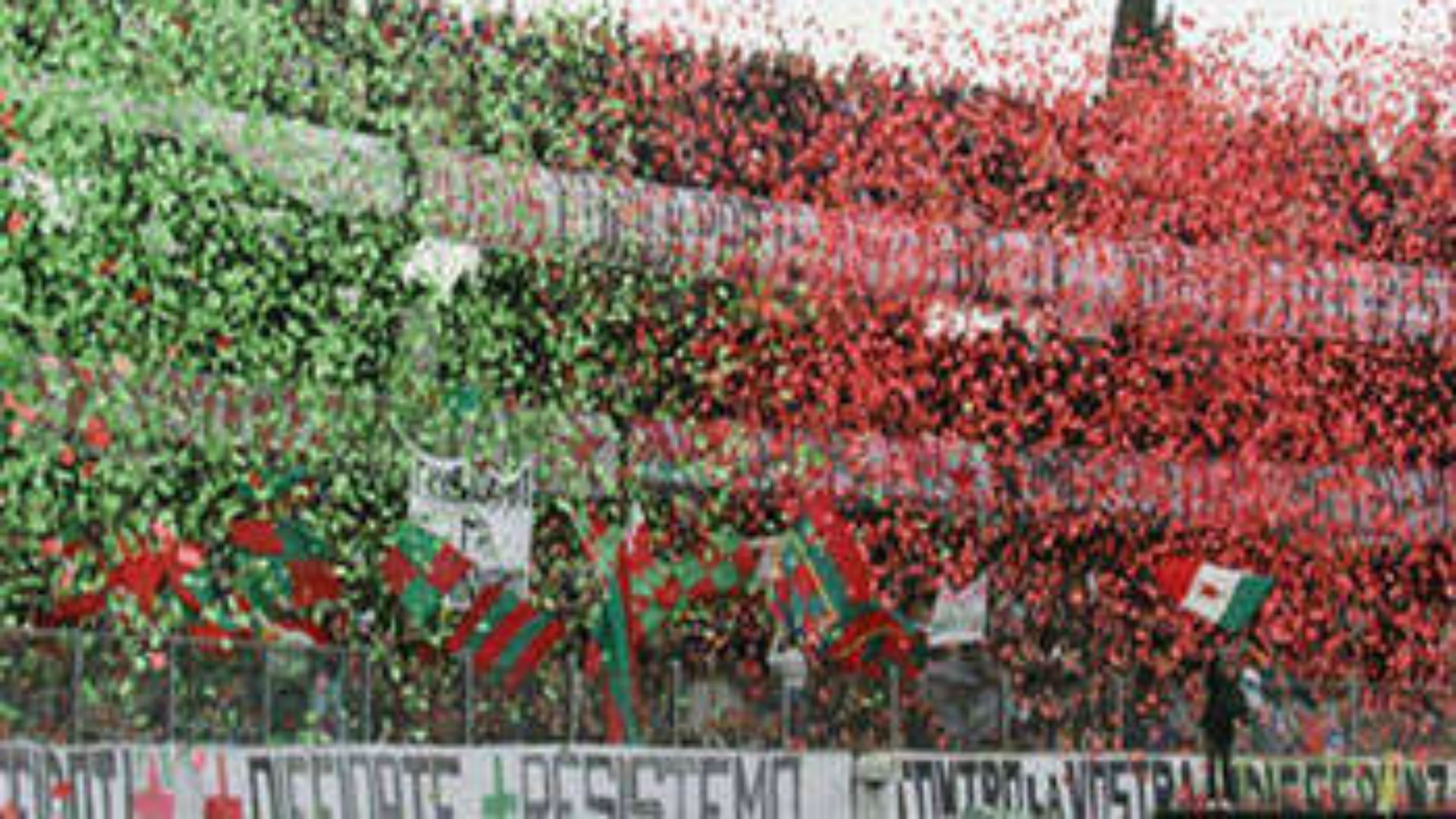 Ternana fans