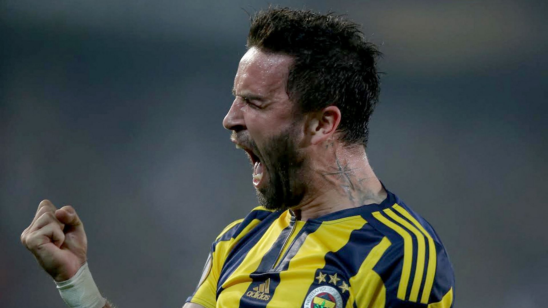 Gokhan Gonul, Fenerbahce