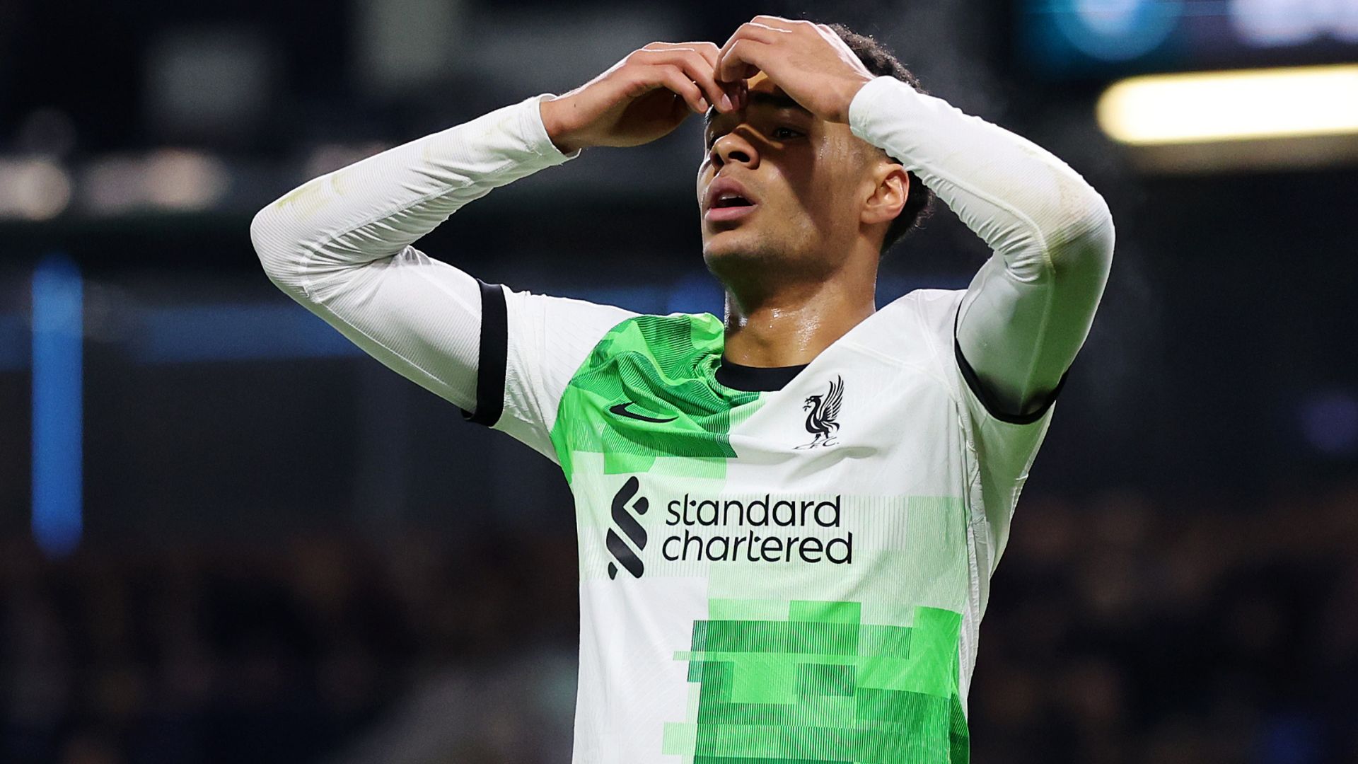 Cody Gakpo Liverpool