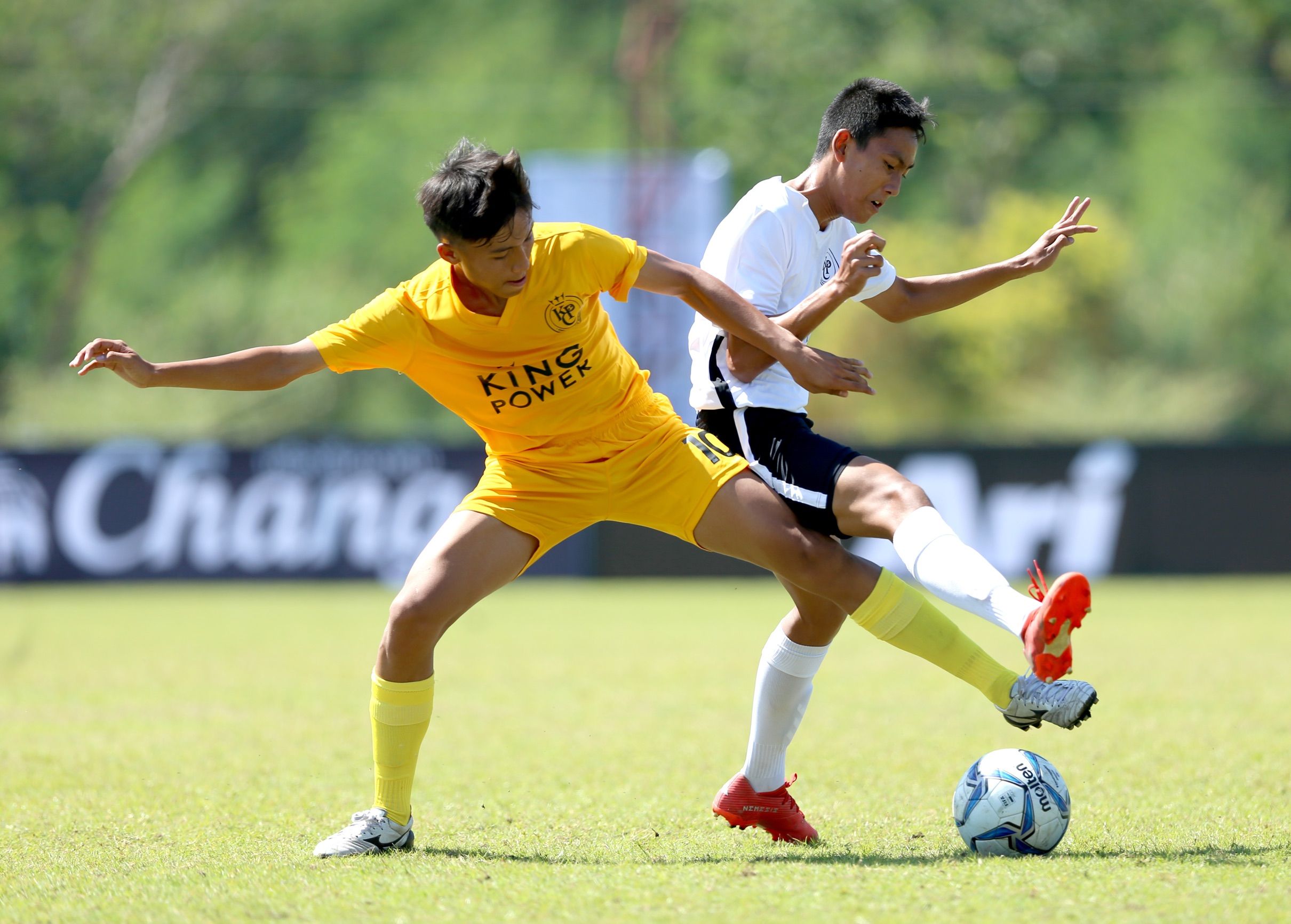 คิง เพาเวอร์ คัพ 26/11/2019