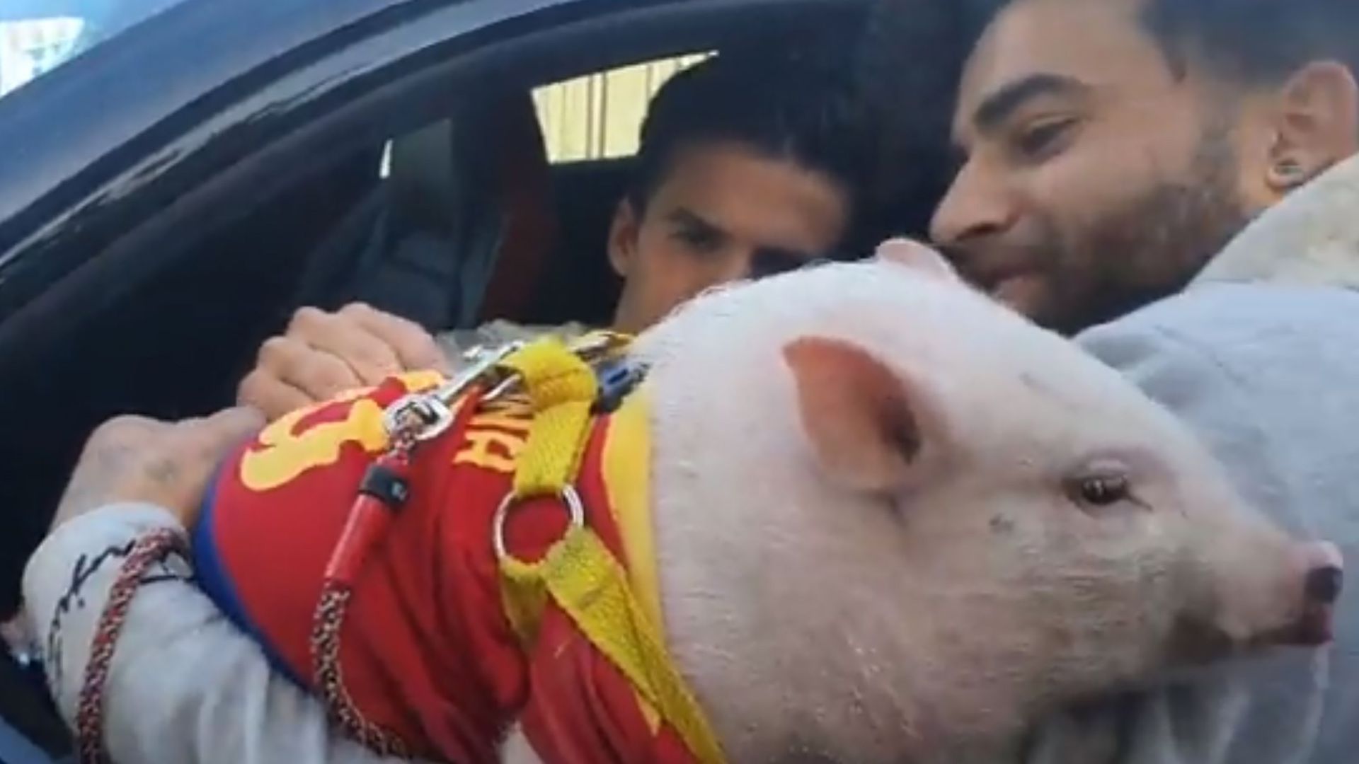 Riqui Puig pig