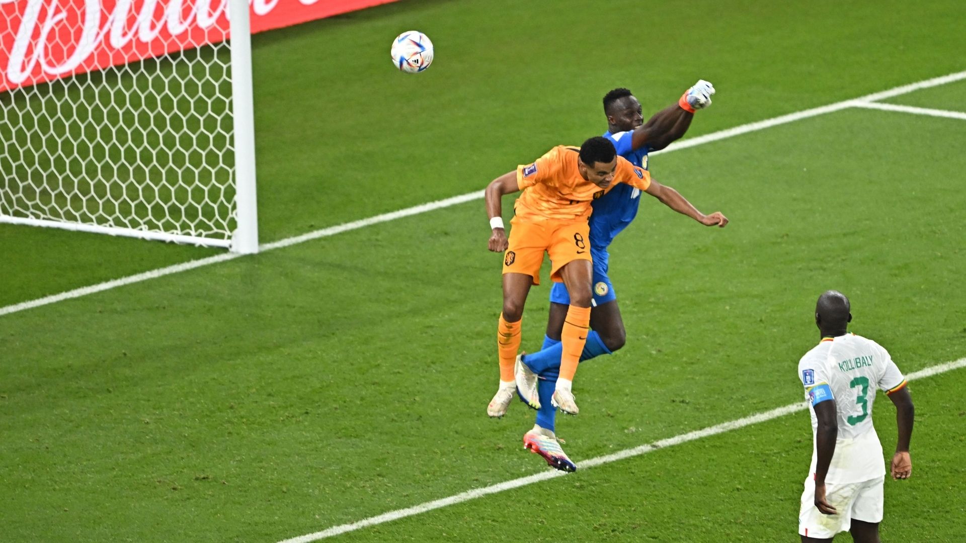 Mendy Gakpo Holanda Senegal
