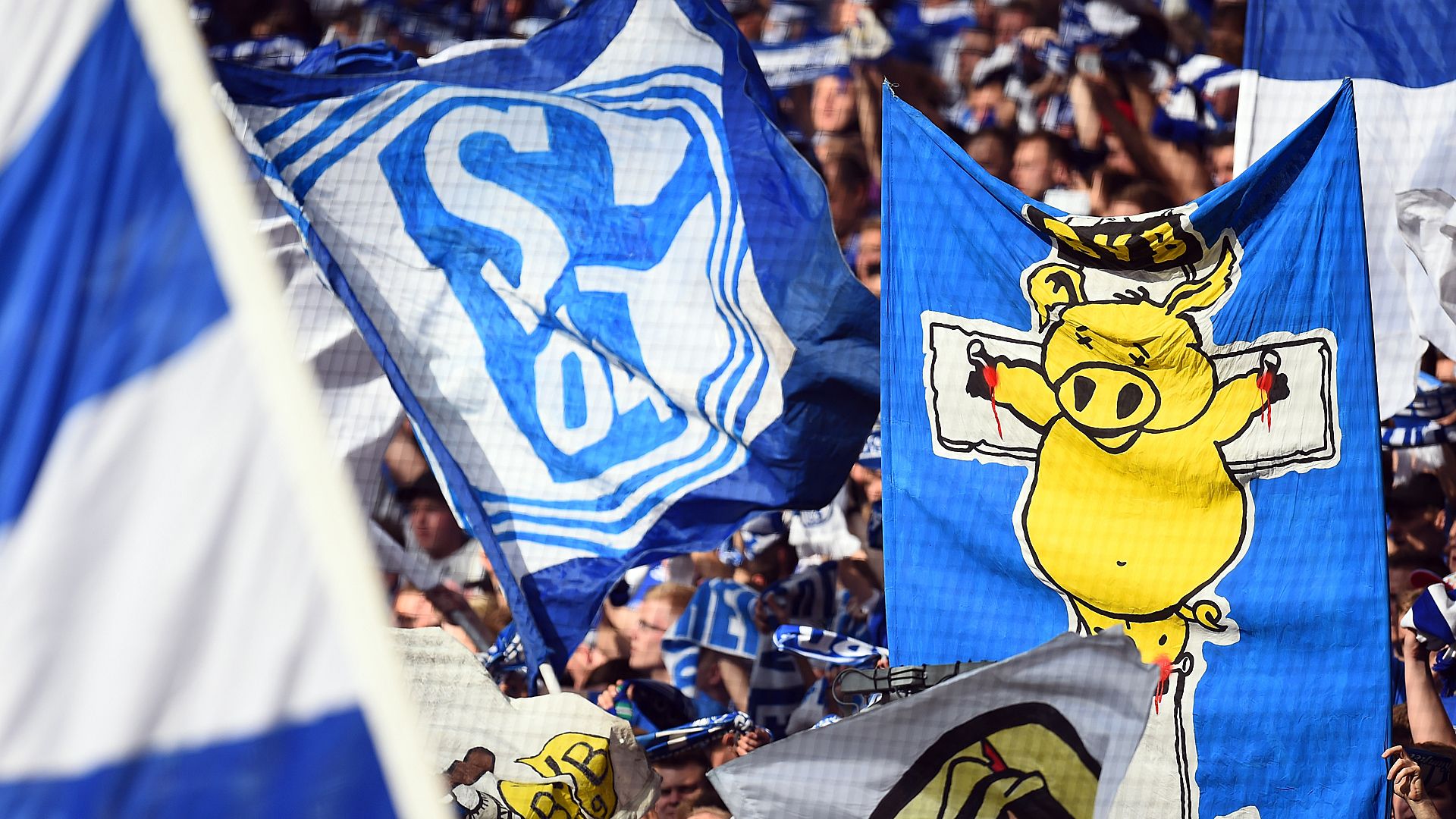Schalke Fans 09272014