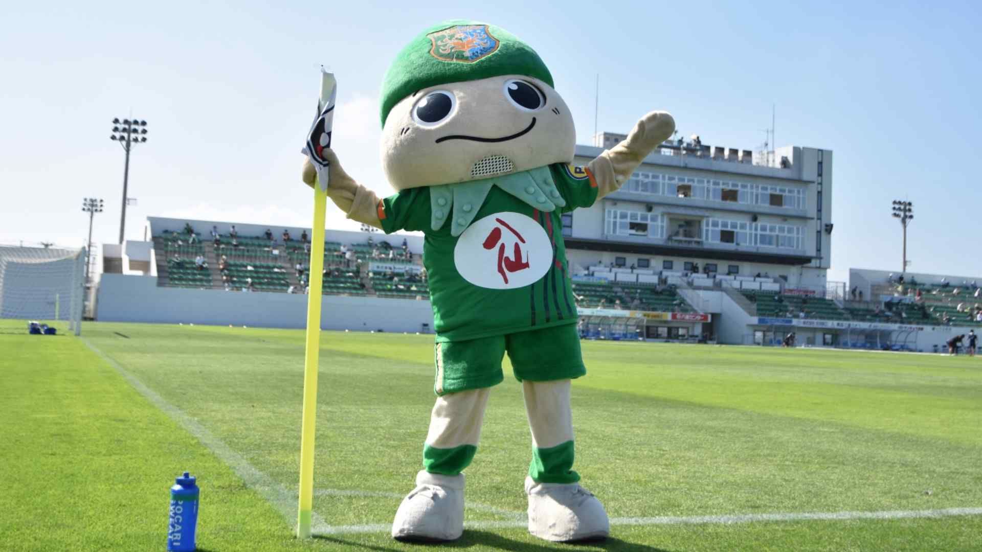 Hachinohe mascot