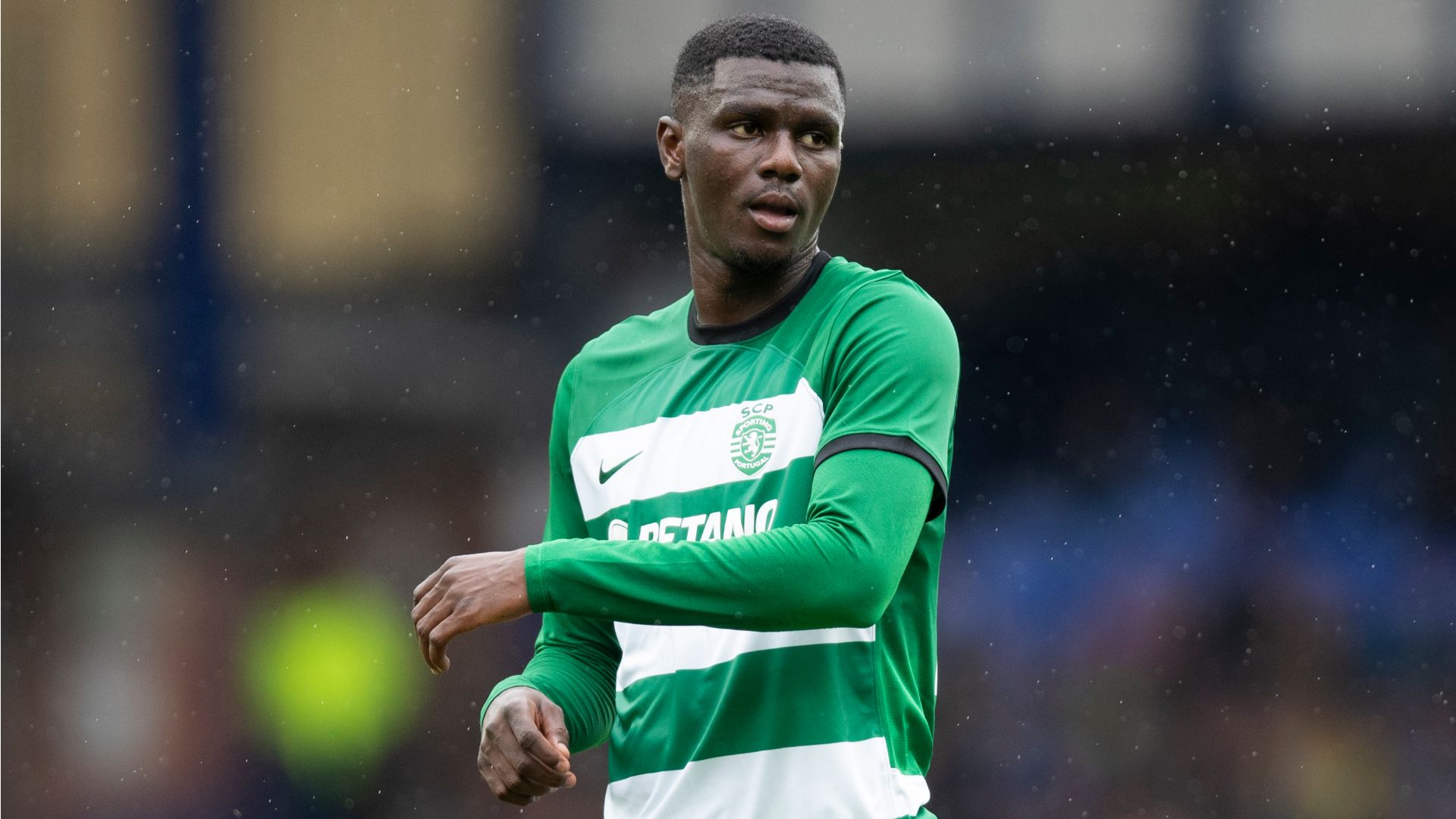 Ousmane Diomande Sporting CP