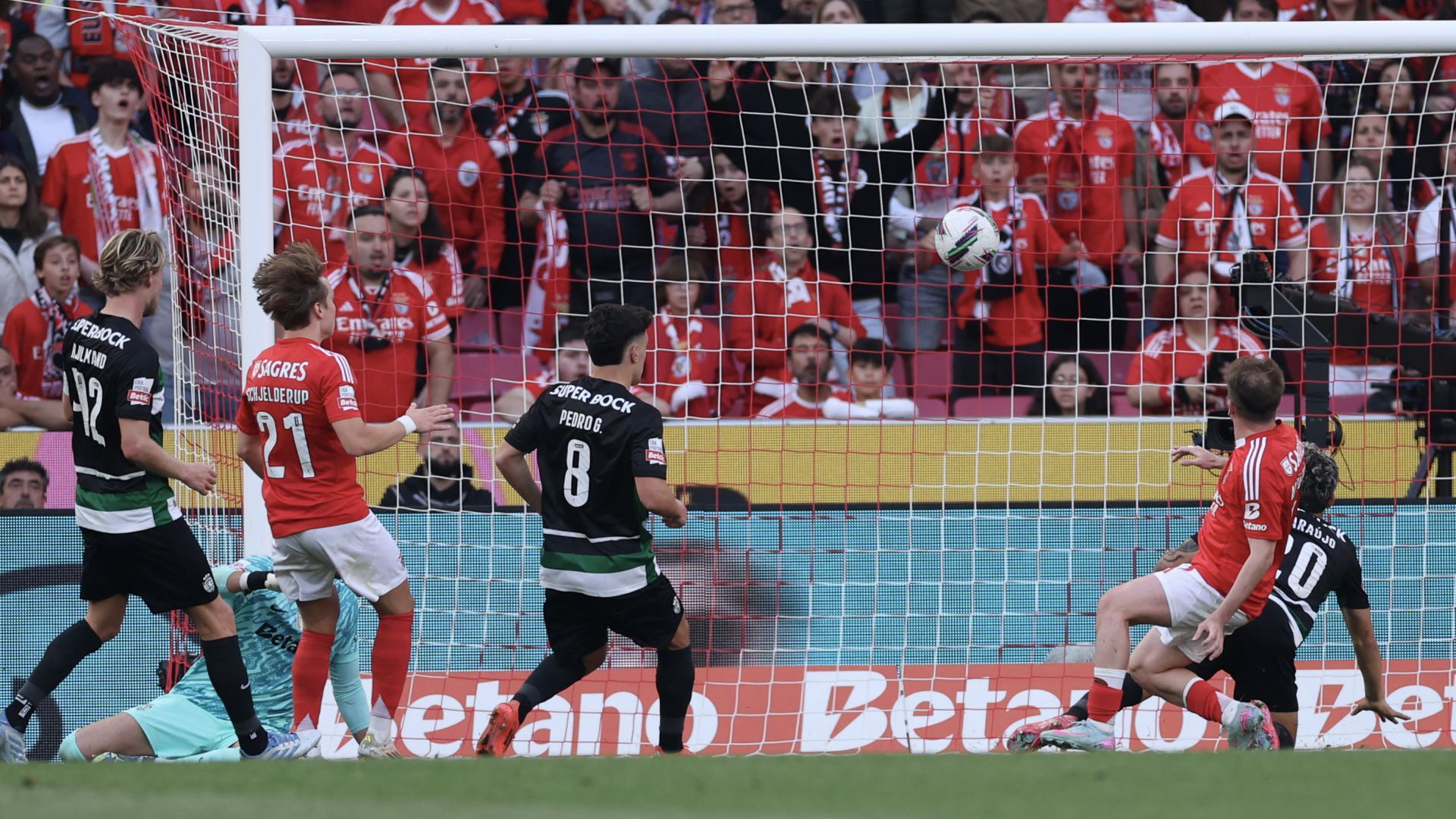 Muhammed Akturkoglu Benfica Sporting