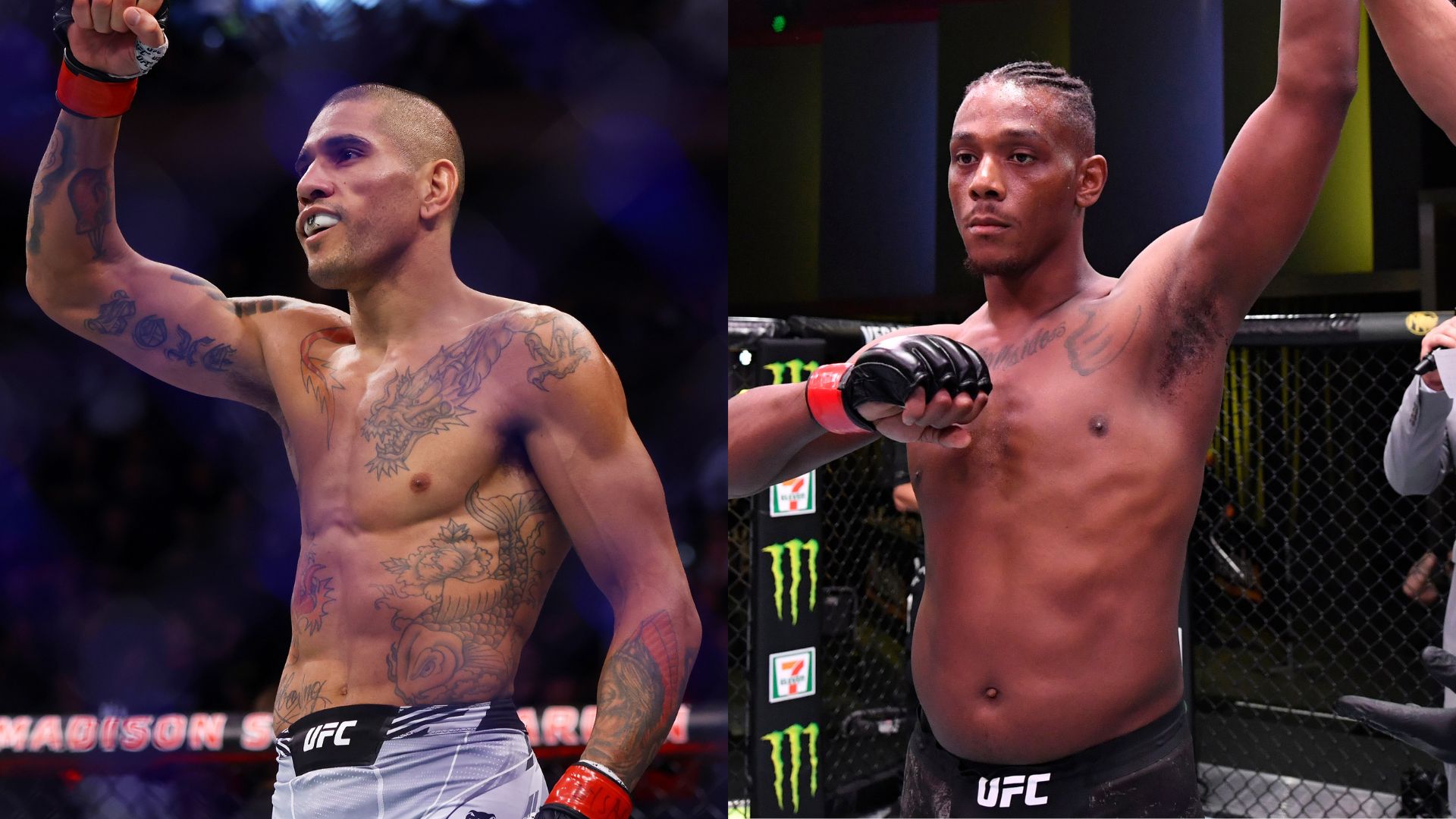 Alex Pereira vs. Jamahal Hill UFC