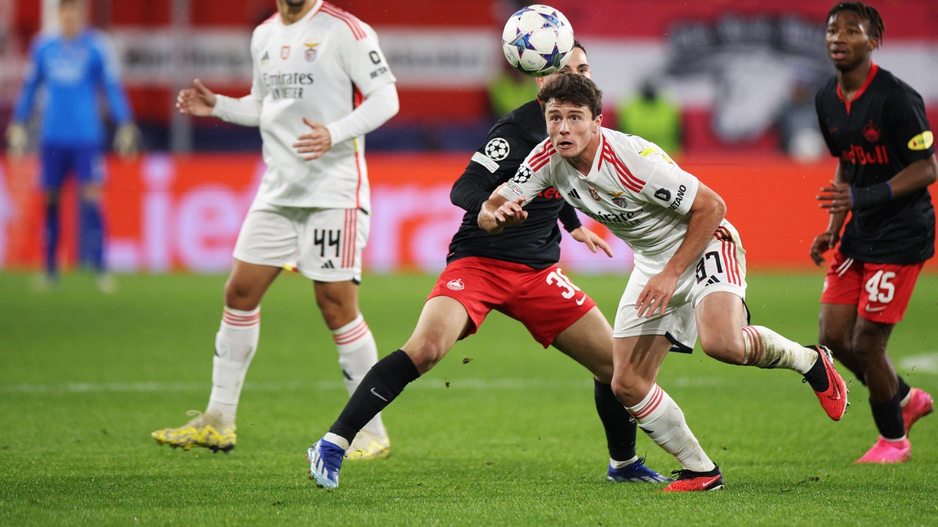 Joao Neves Benfica 2023-24 Champions League