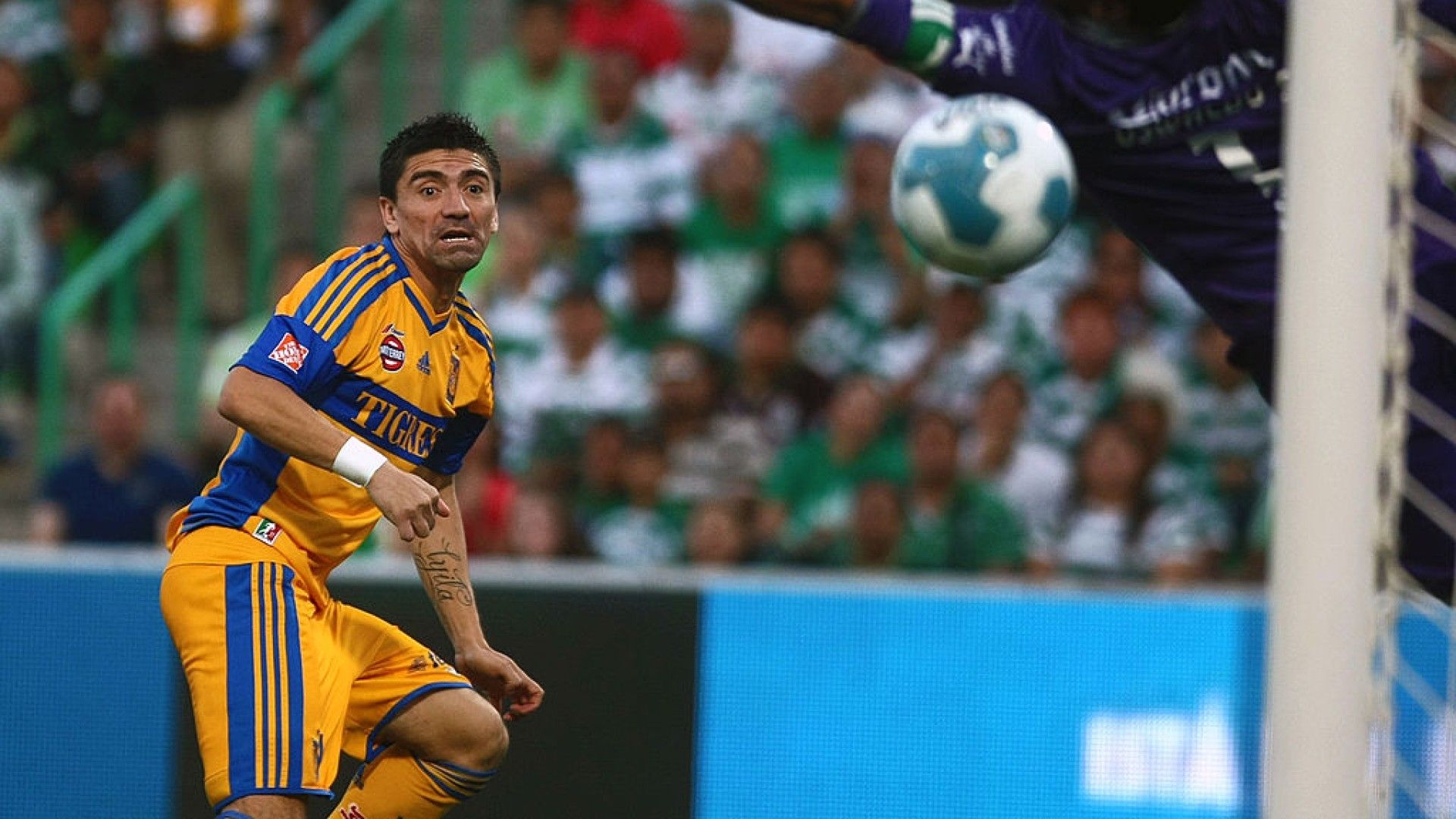 Héctor Mancilla Tigres