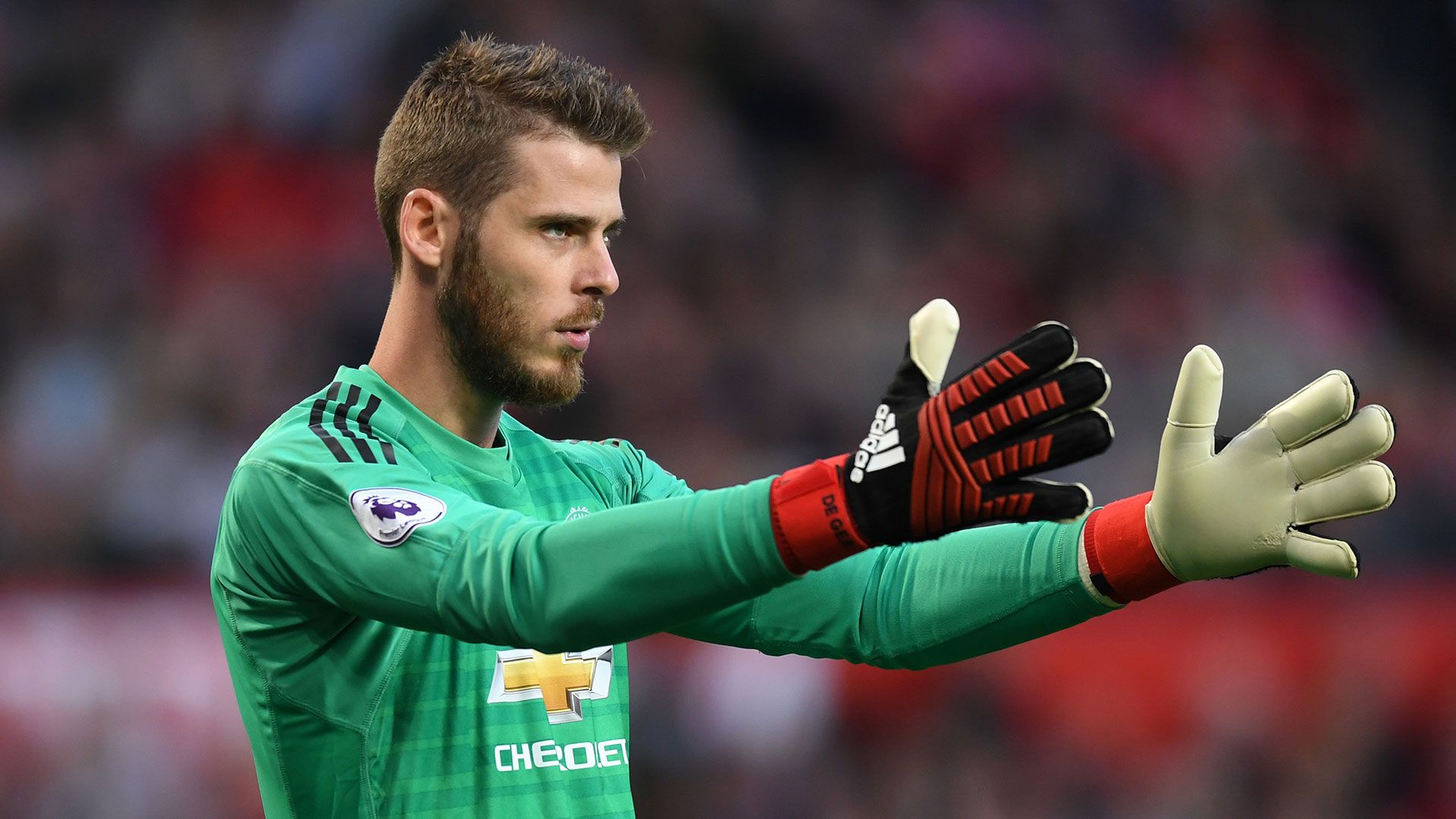 2018_8_19_degea