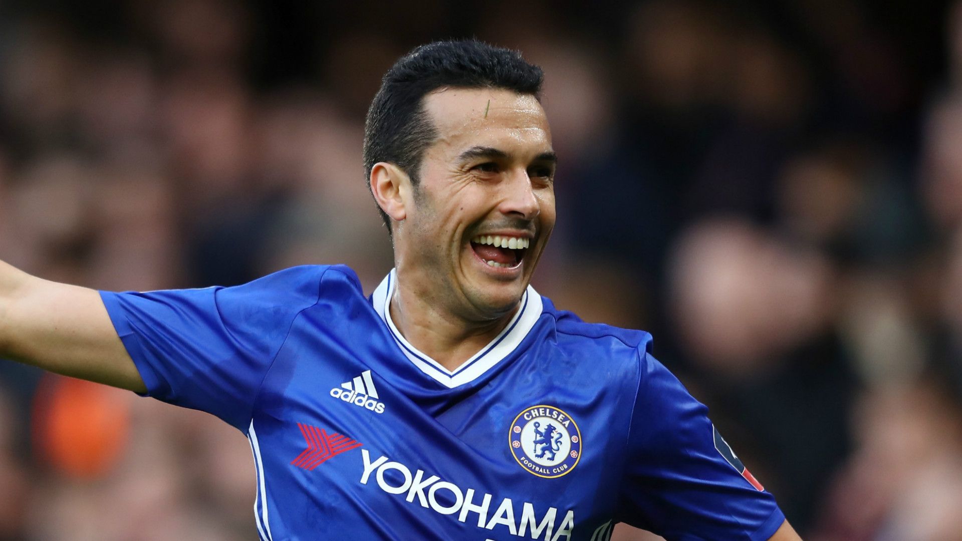 HD Pedro Chelsea