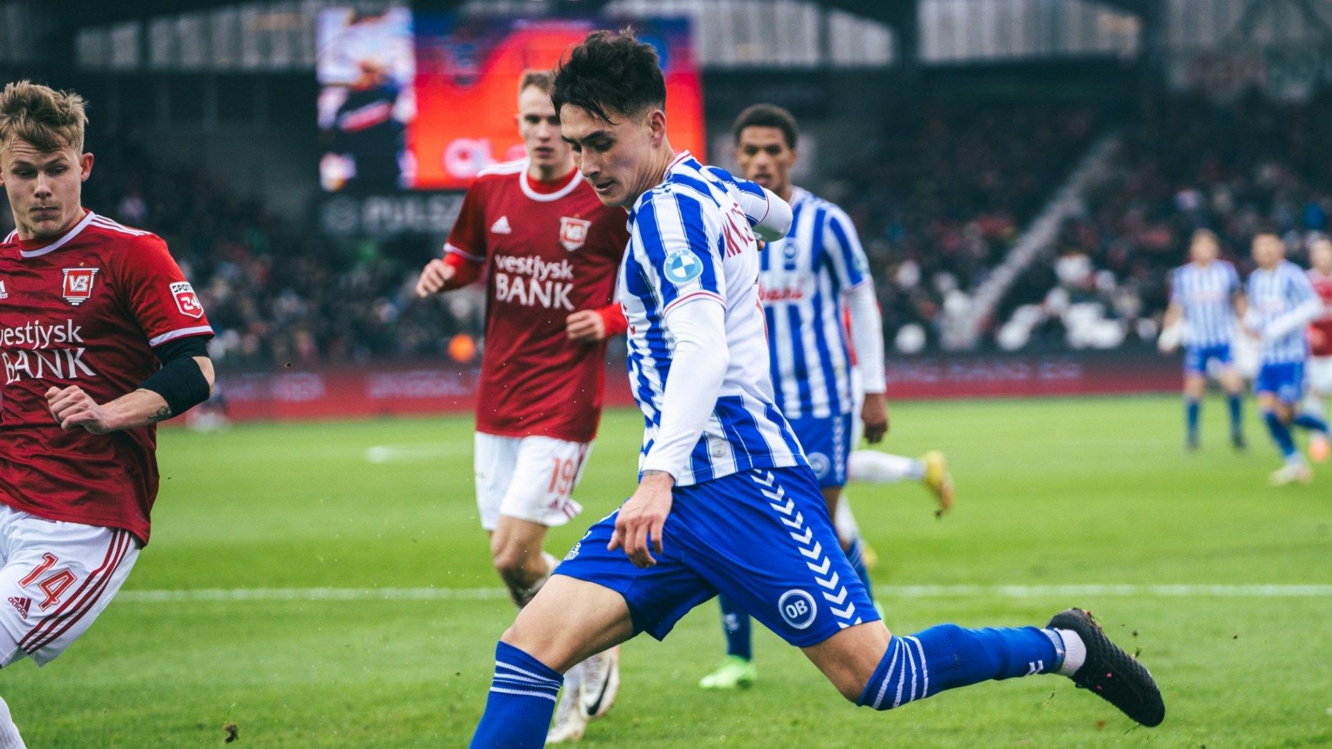 นิโคลัส มิคเกลสัน