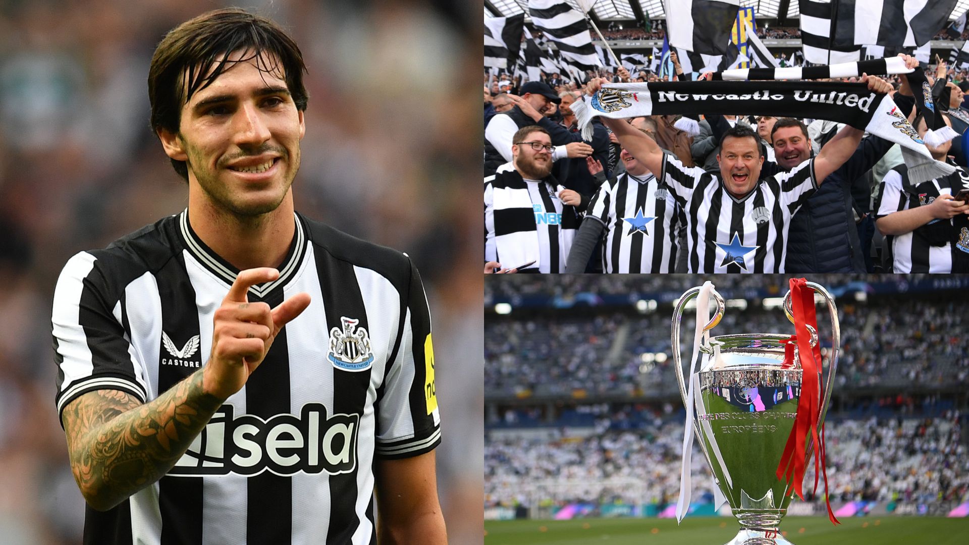 Newcastle fans Champions League