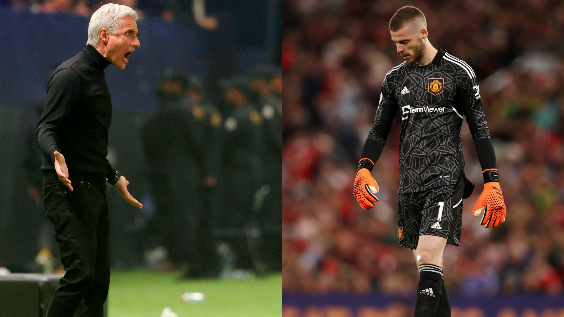 david de gea - luis castro