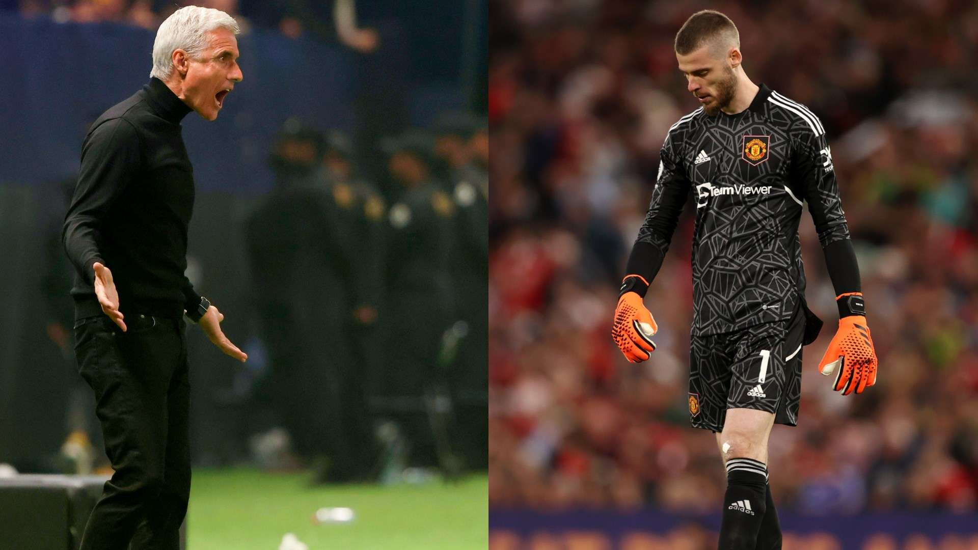 david de gea - luis castro