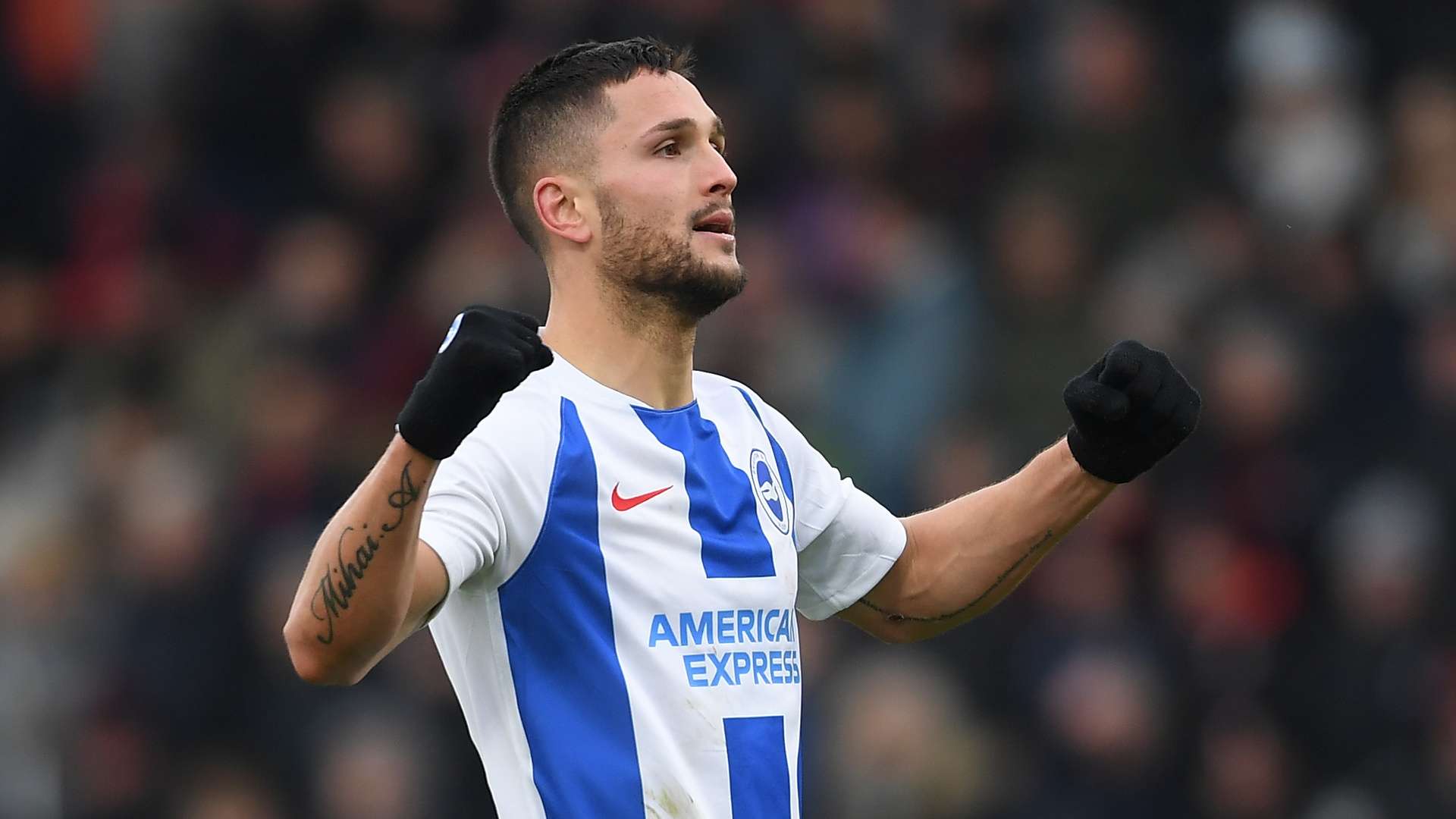 Florin Andone Brighton