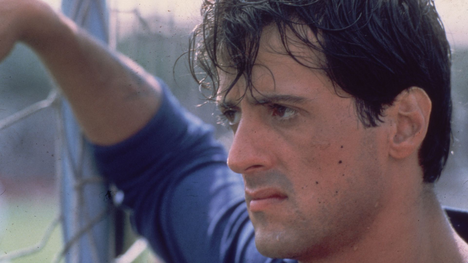 Sylvester Stallone Victory