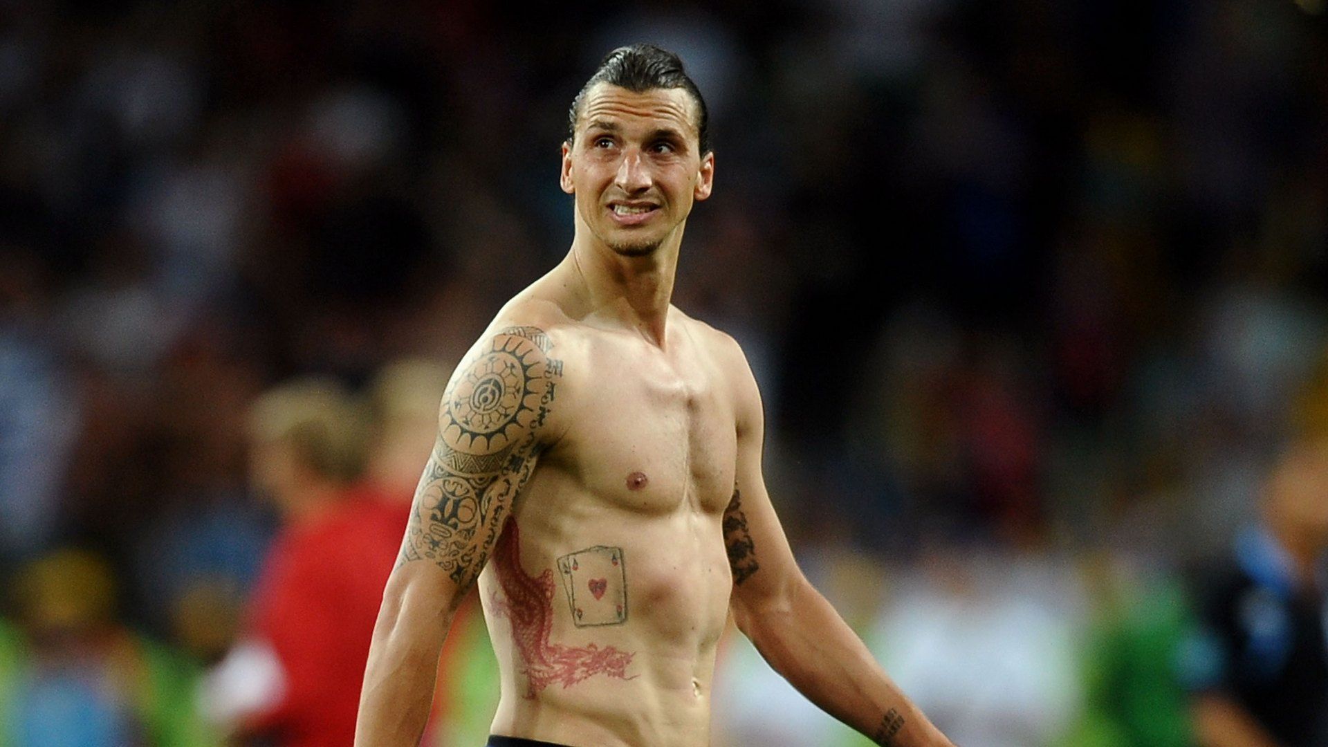 Zlatan Ibrahimovic Sweden