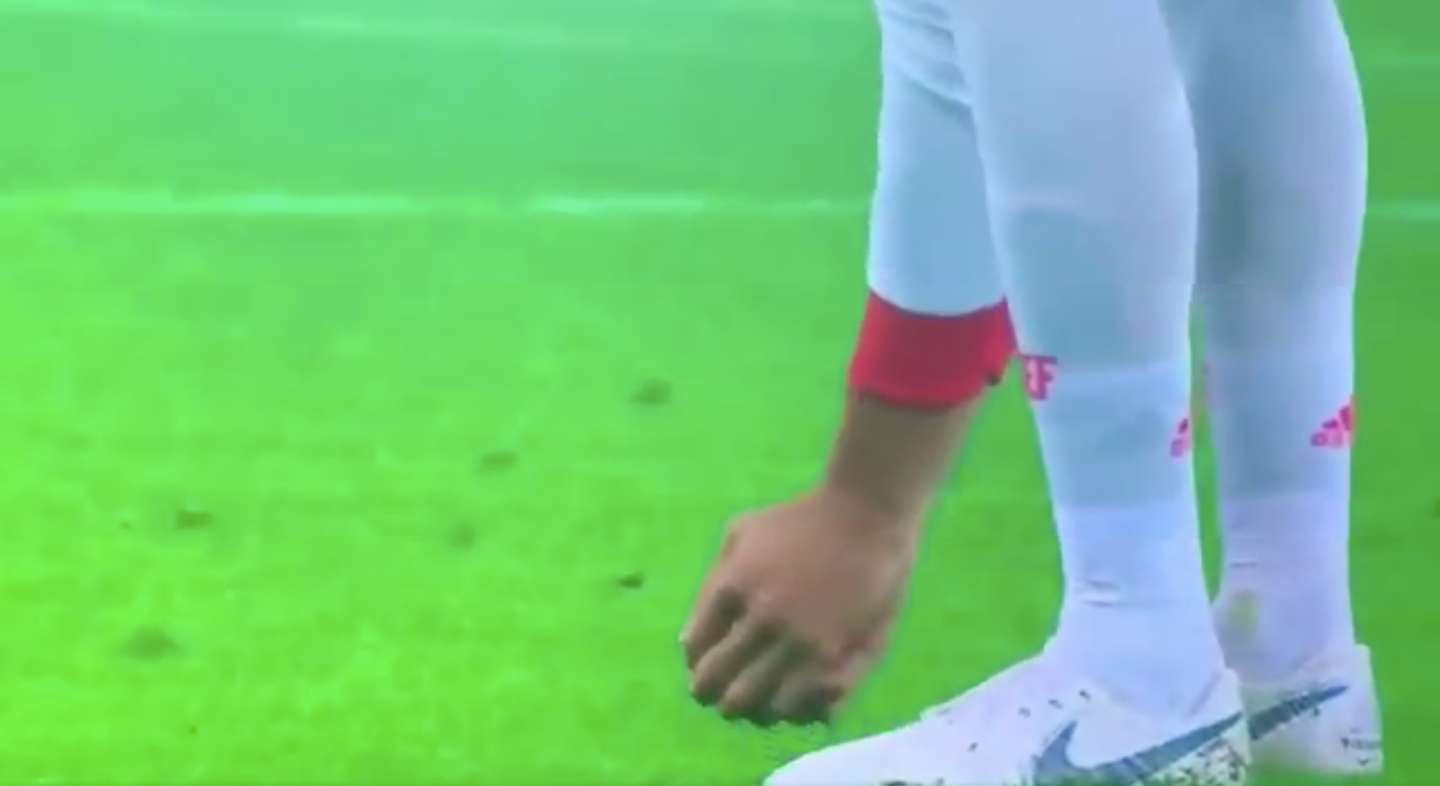 Pique rescata a un pájaro