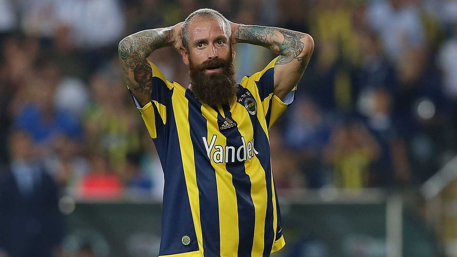 Raul Meireles Fenerbahce