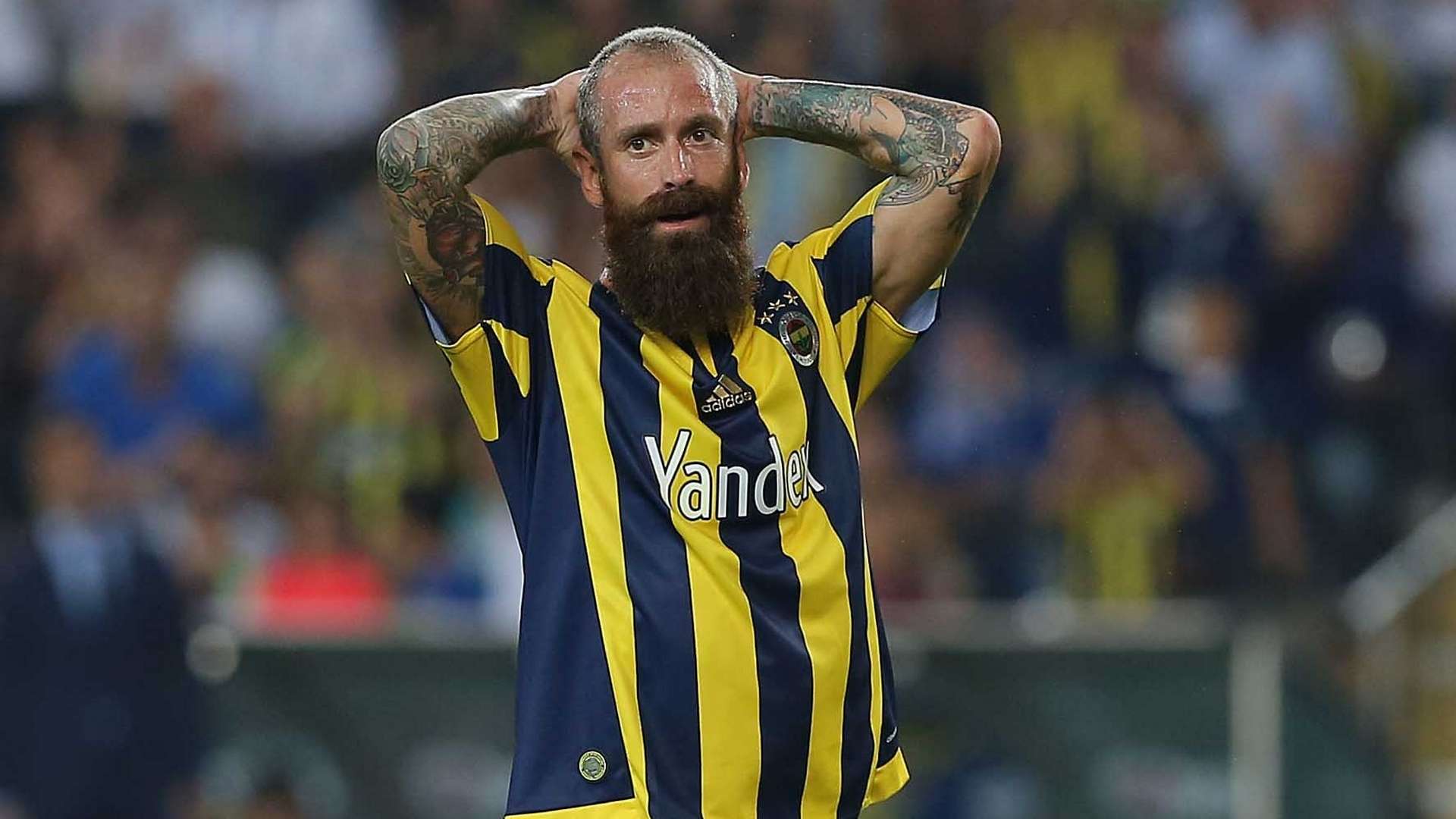 Raul Meireles Fenerbahce
