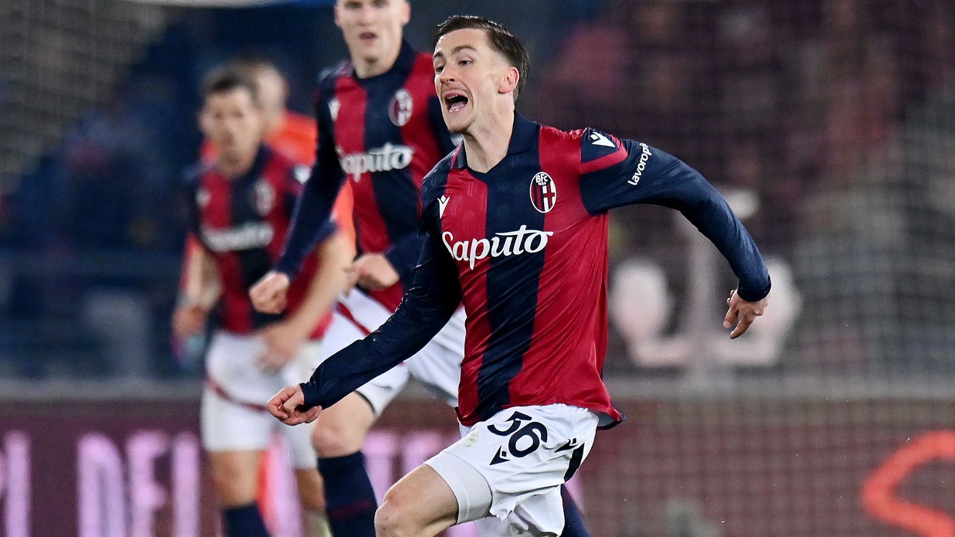 Saelemaekers Bologna