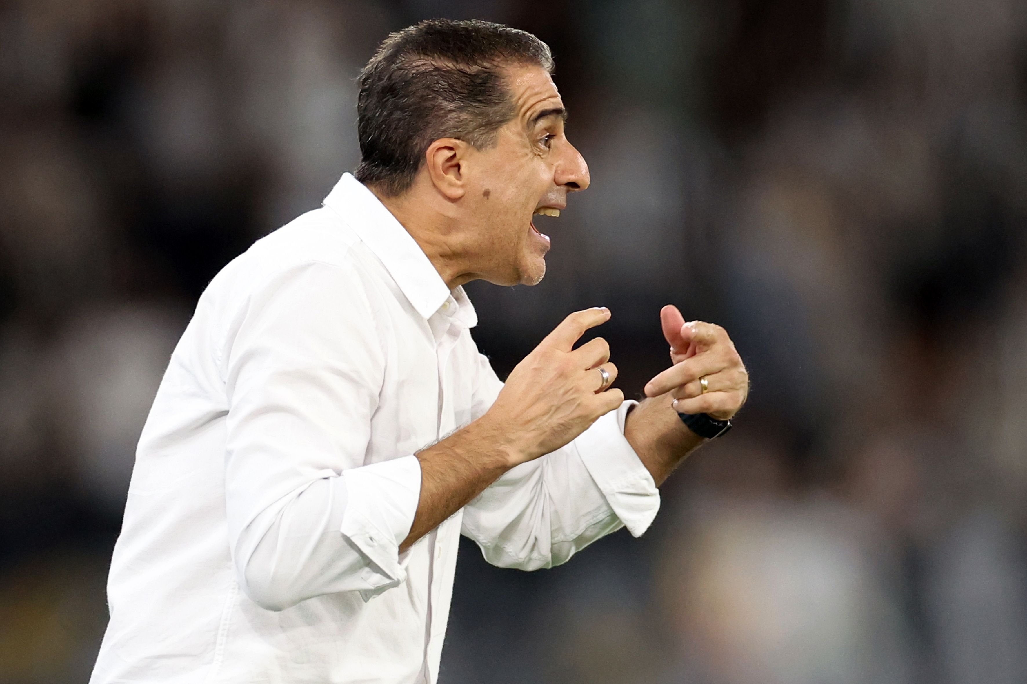Renato Paiva Botafogo 2025